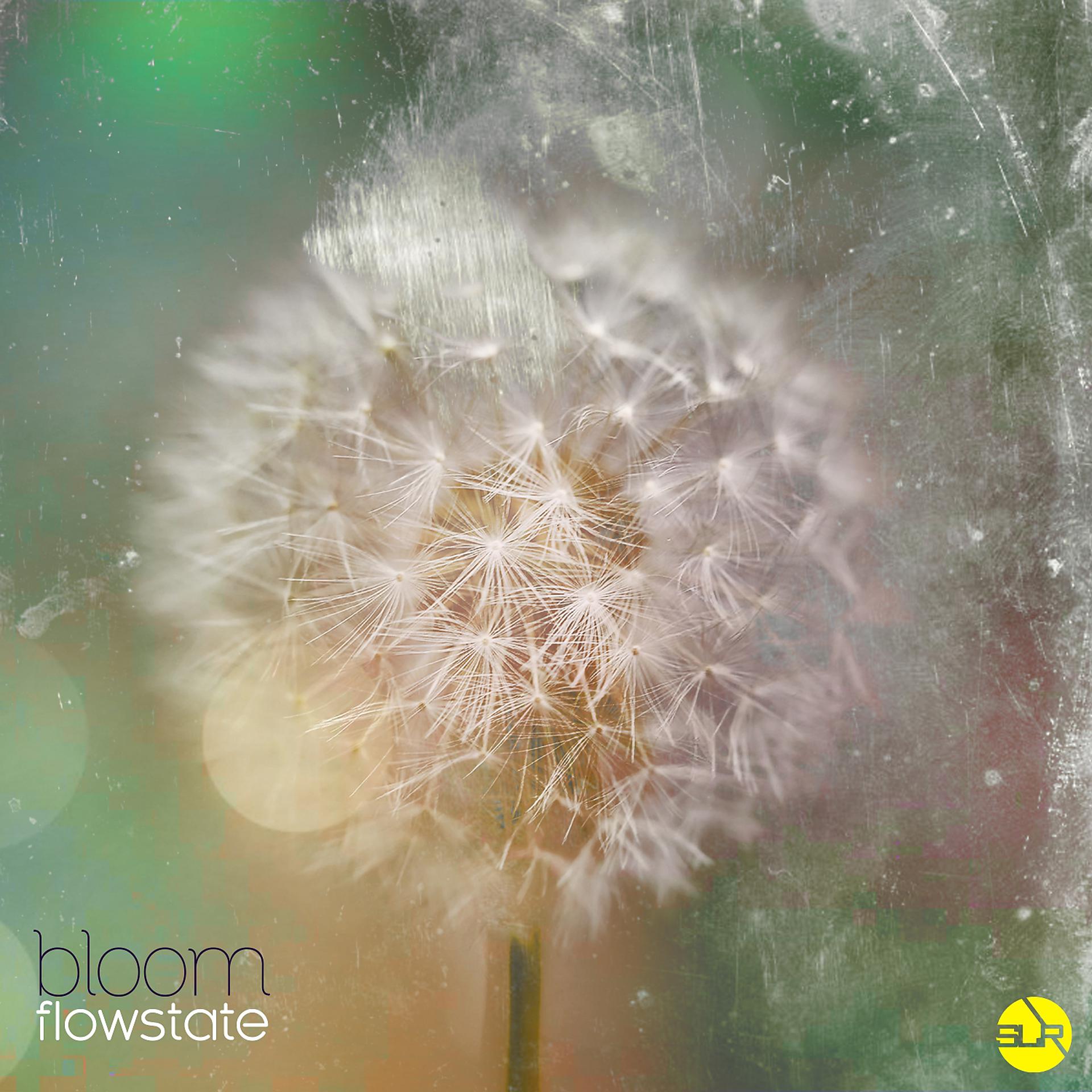 Постер альбома Flowstate