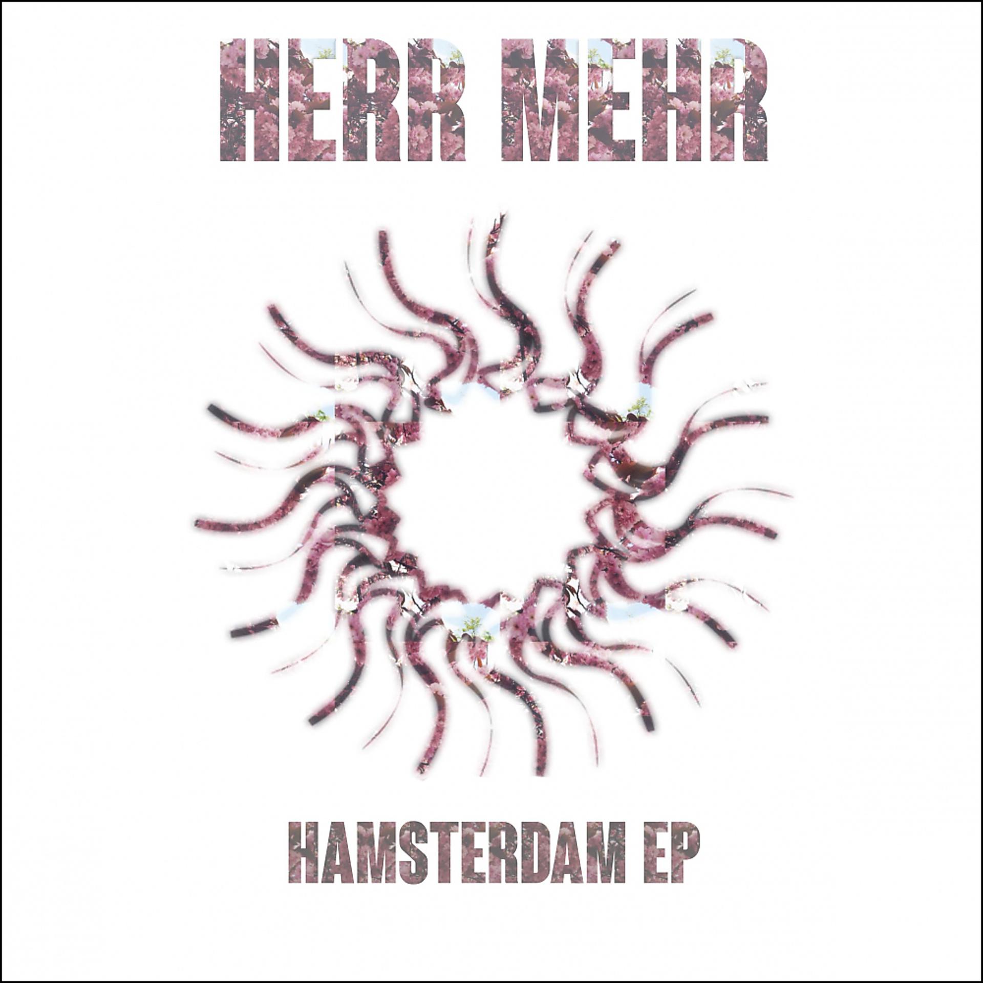 Постер альбома Hamsterdam EP