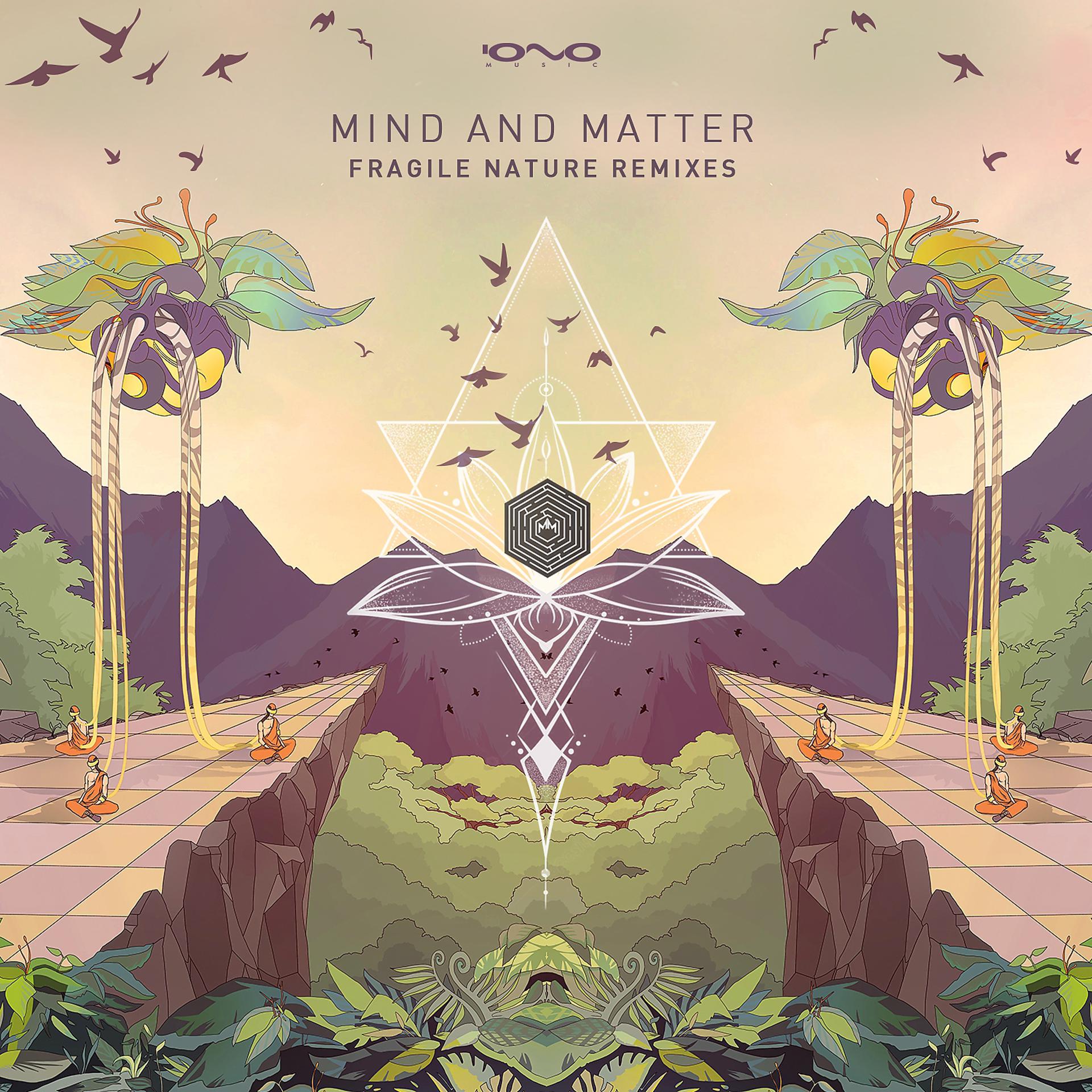 Постер альбома Fragile Nature Remixes