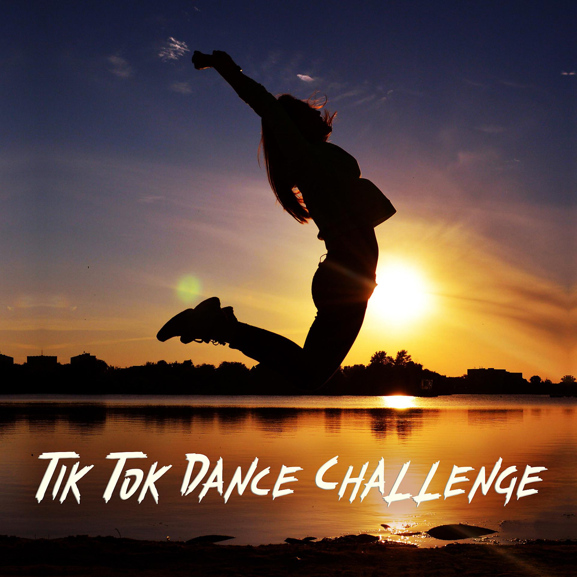 Постер альбома Tik Tok Dance Challenge