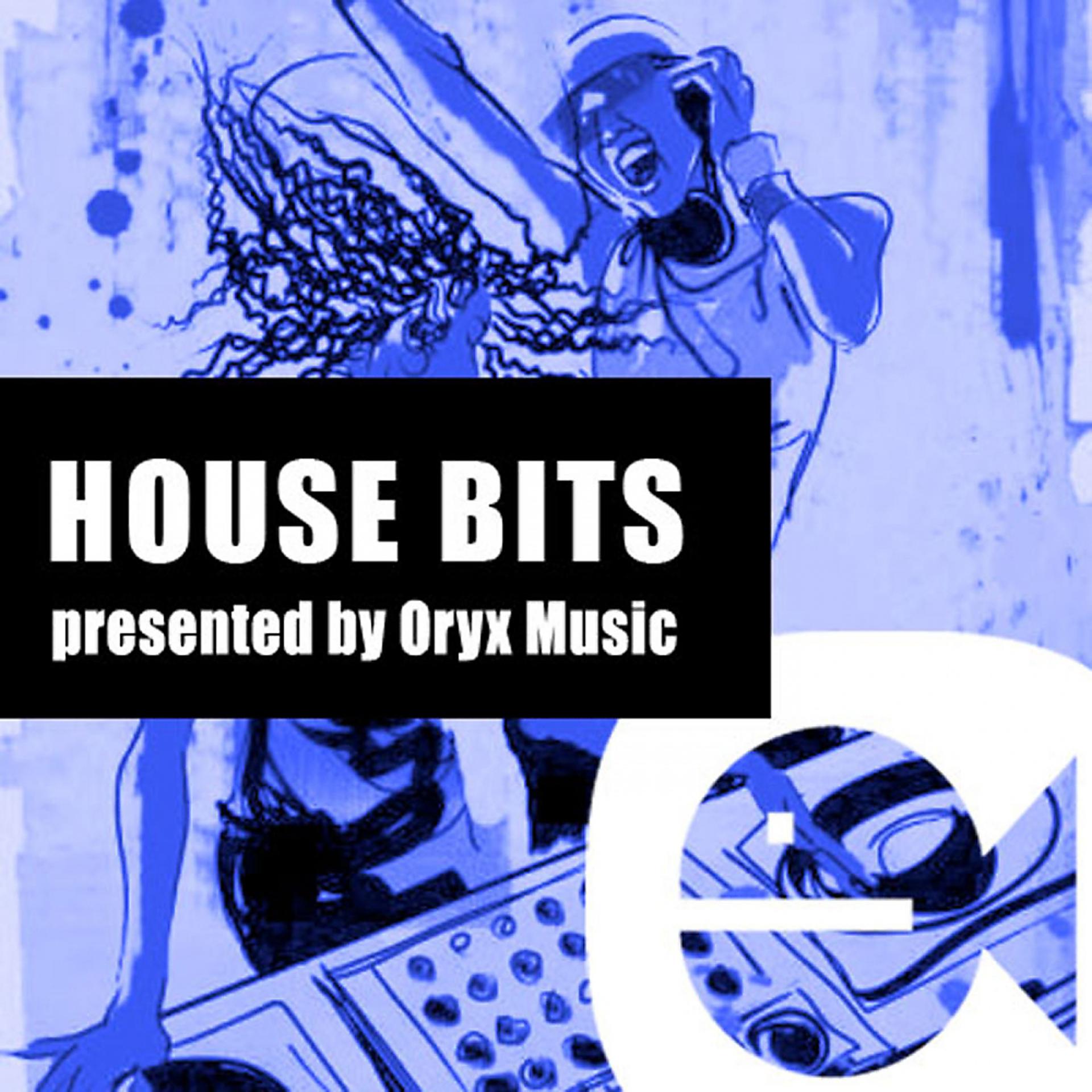 Постер альбома House Bits 13