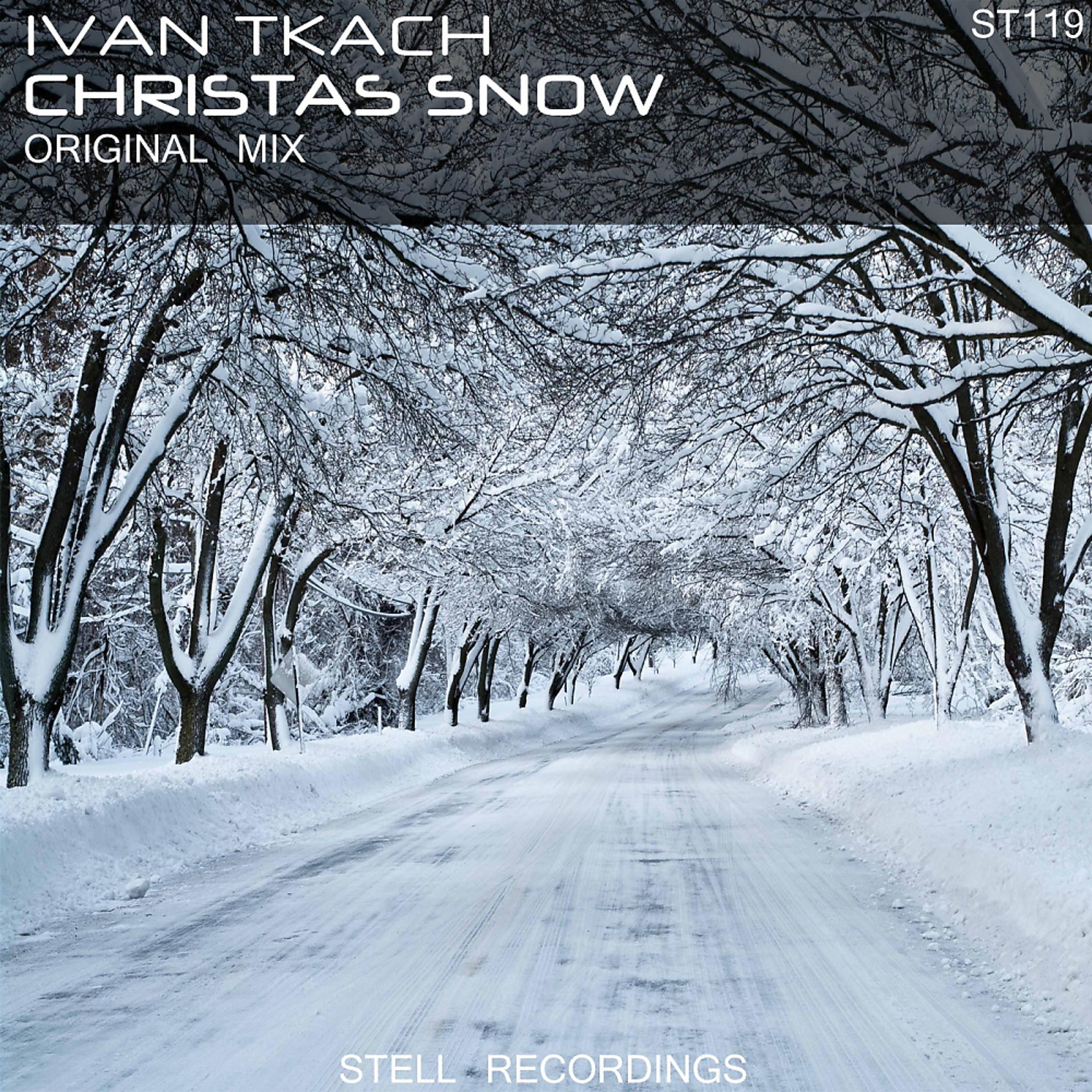 Постер альбома Christmas Snow