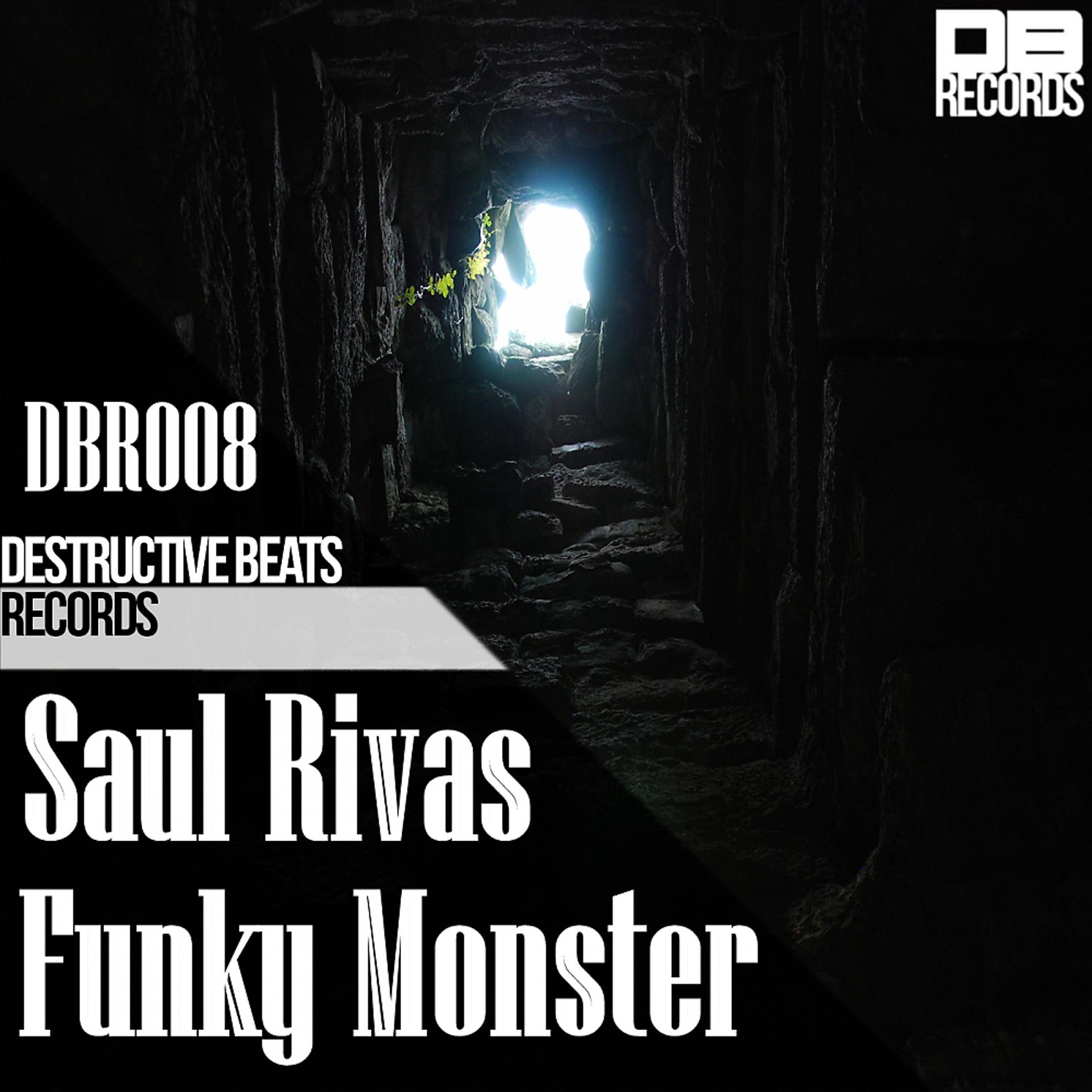 Постер альбома Funky Monster