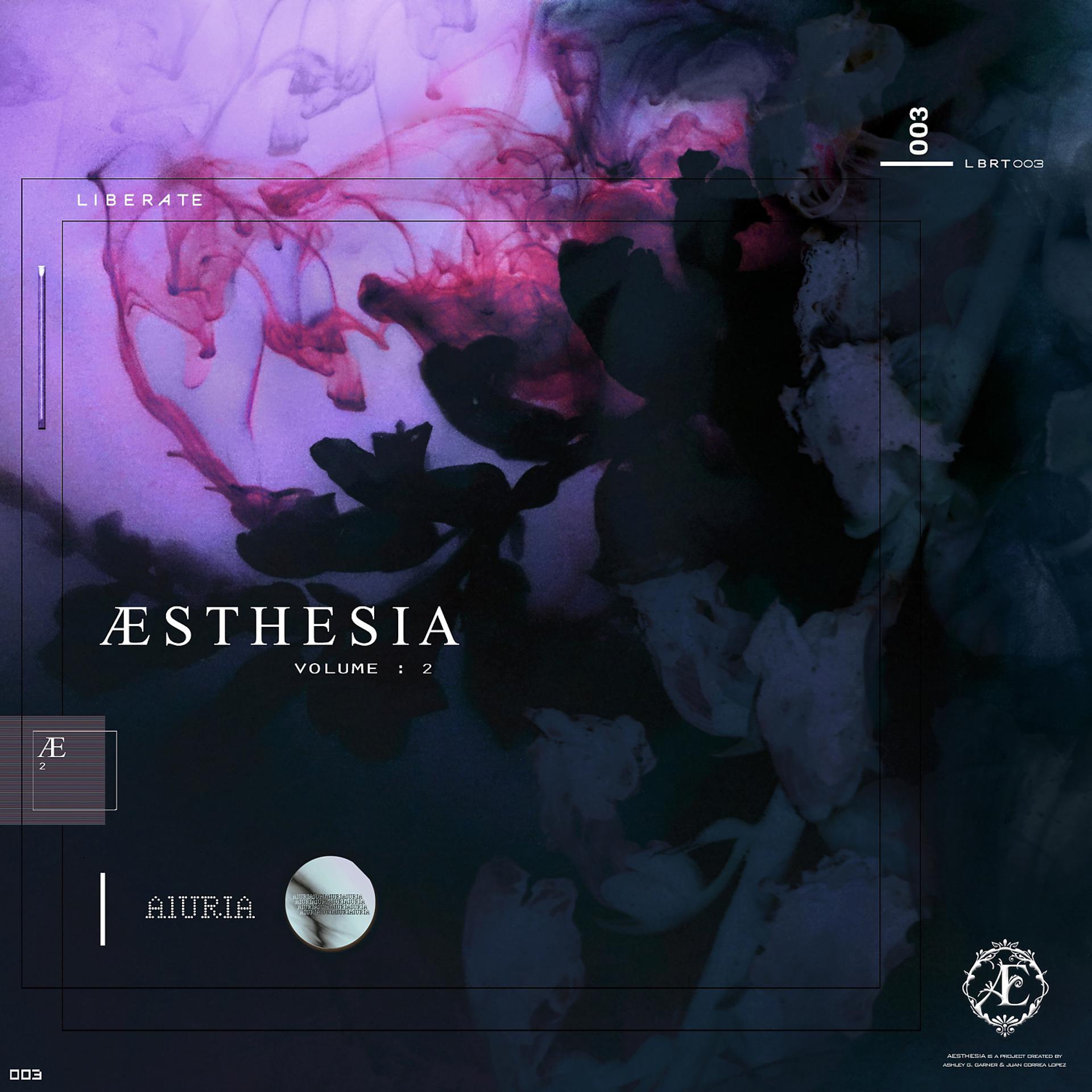 Постер альбома Aesthesia, Vol. 2