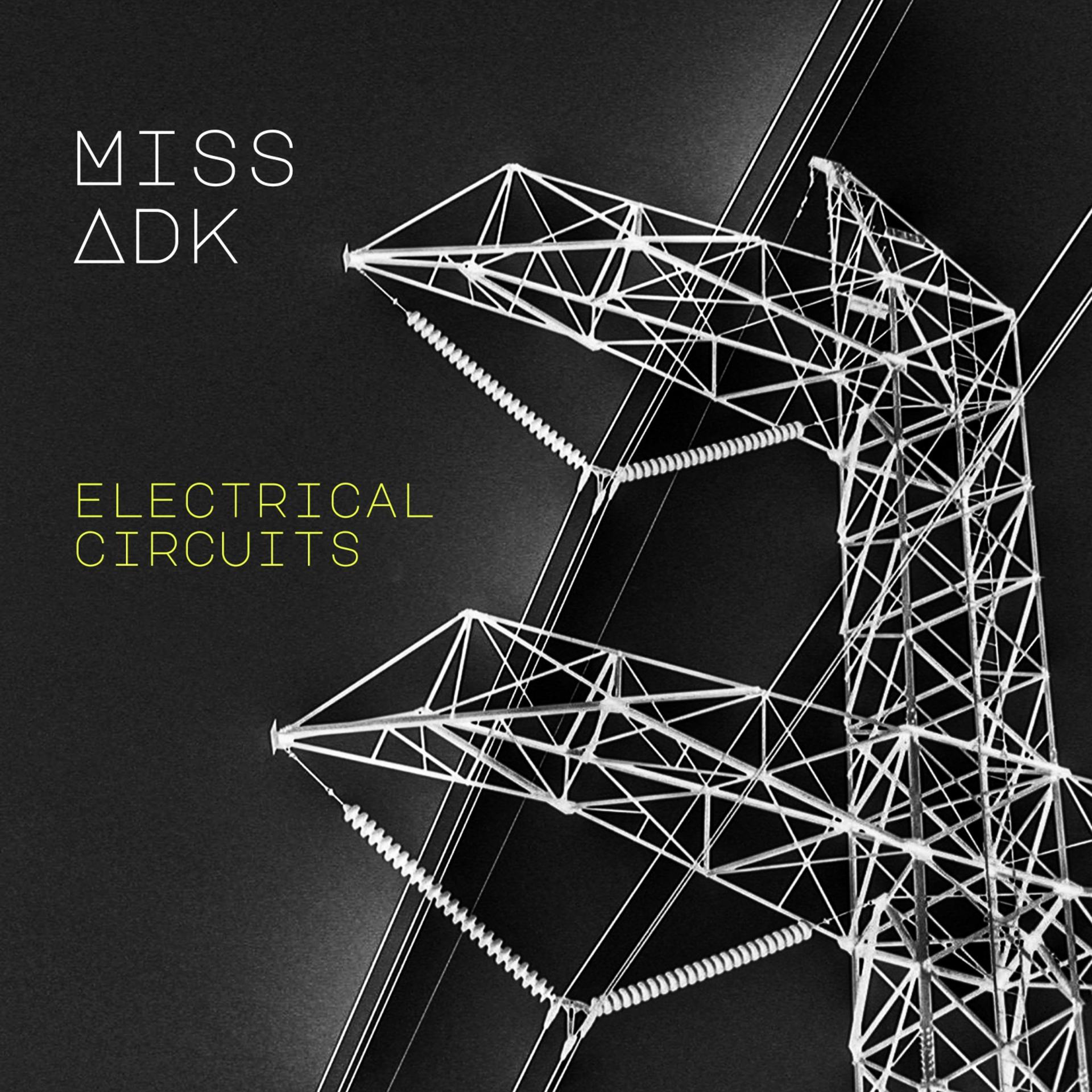 Постер альбома Electrical Circuits