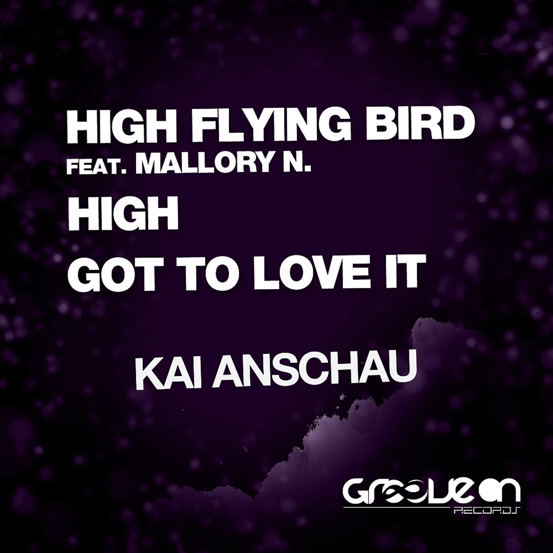 Постер альбома High Flying Bird
