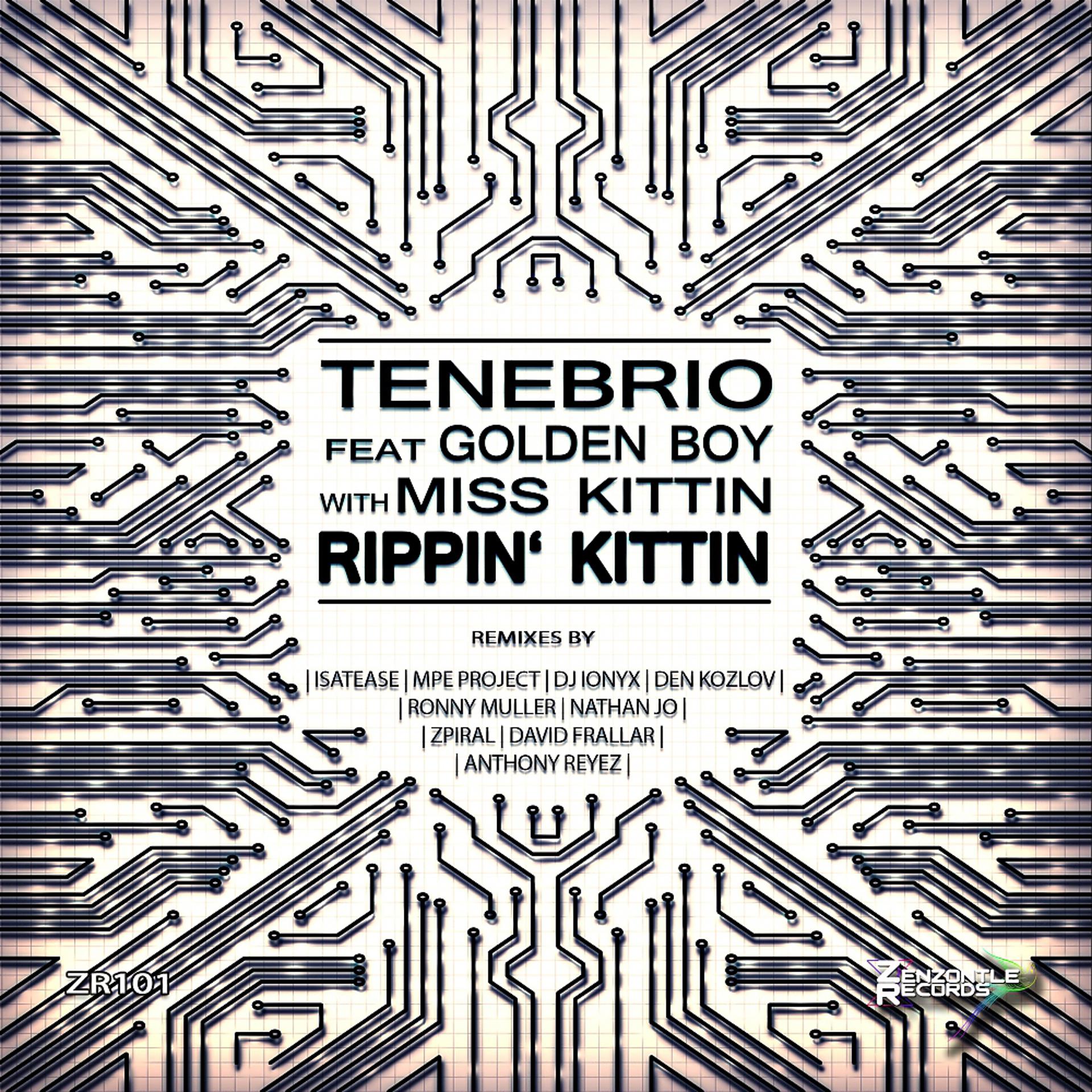Постер альбома Rippin' Kittin