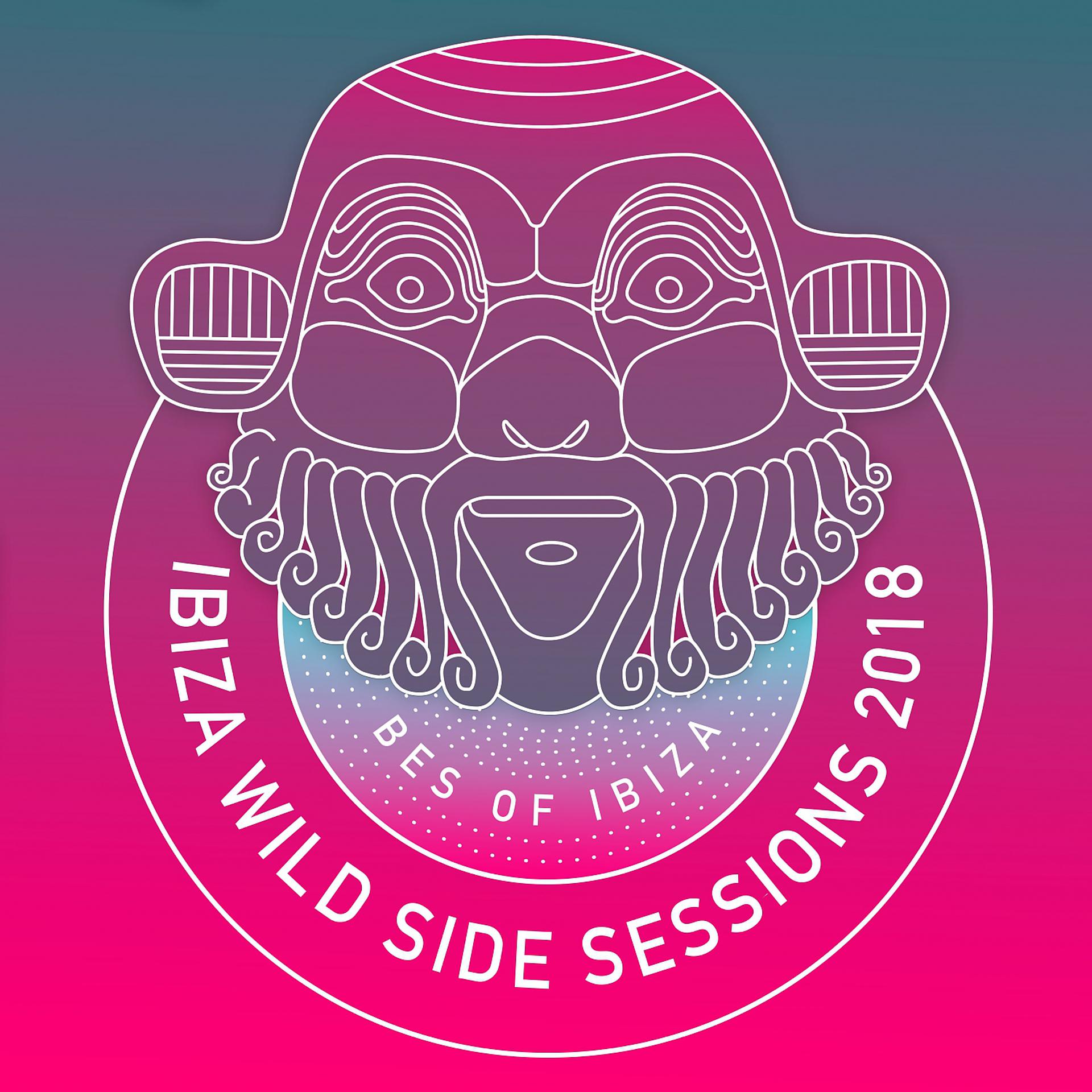 Постер альбома Ibiza Wild Side Sessions