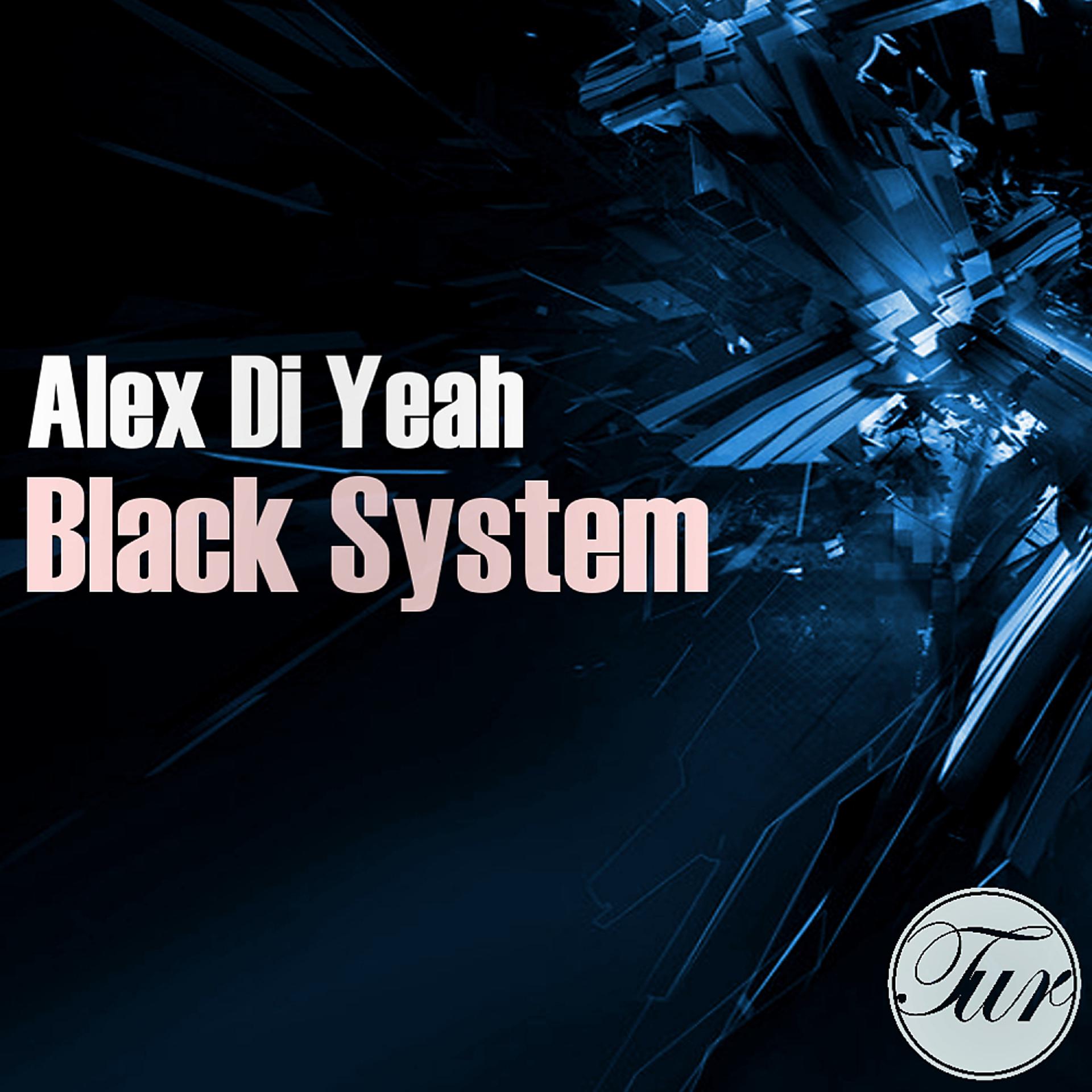 Постер альбома Black System