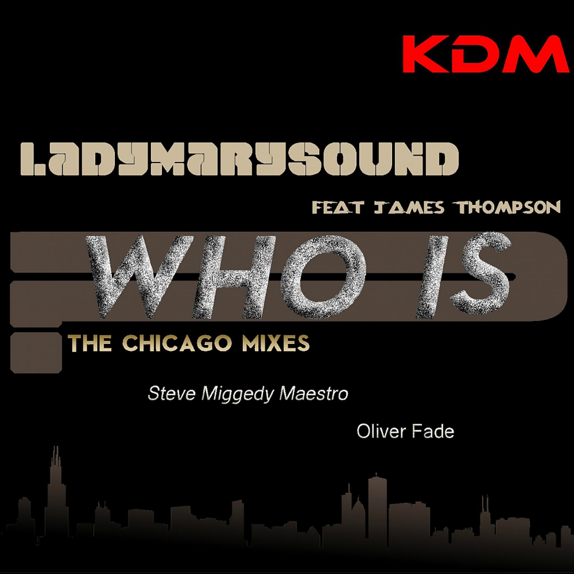Постер альбома Who Is (The Chicago Mixes)