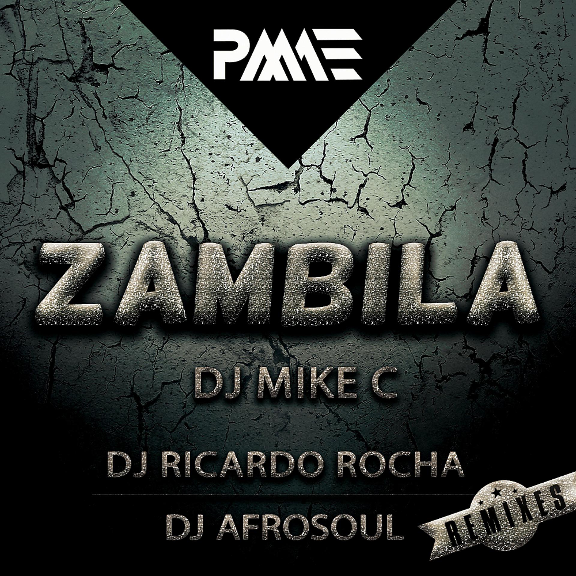 Постер альбома Zambila (Remixes)