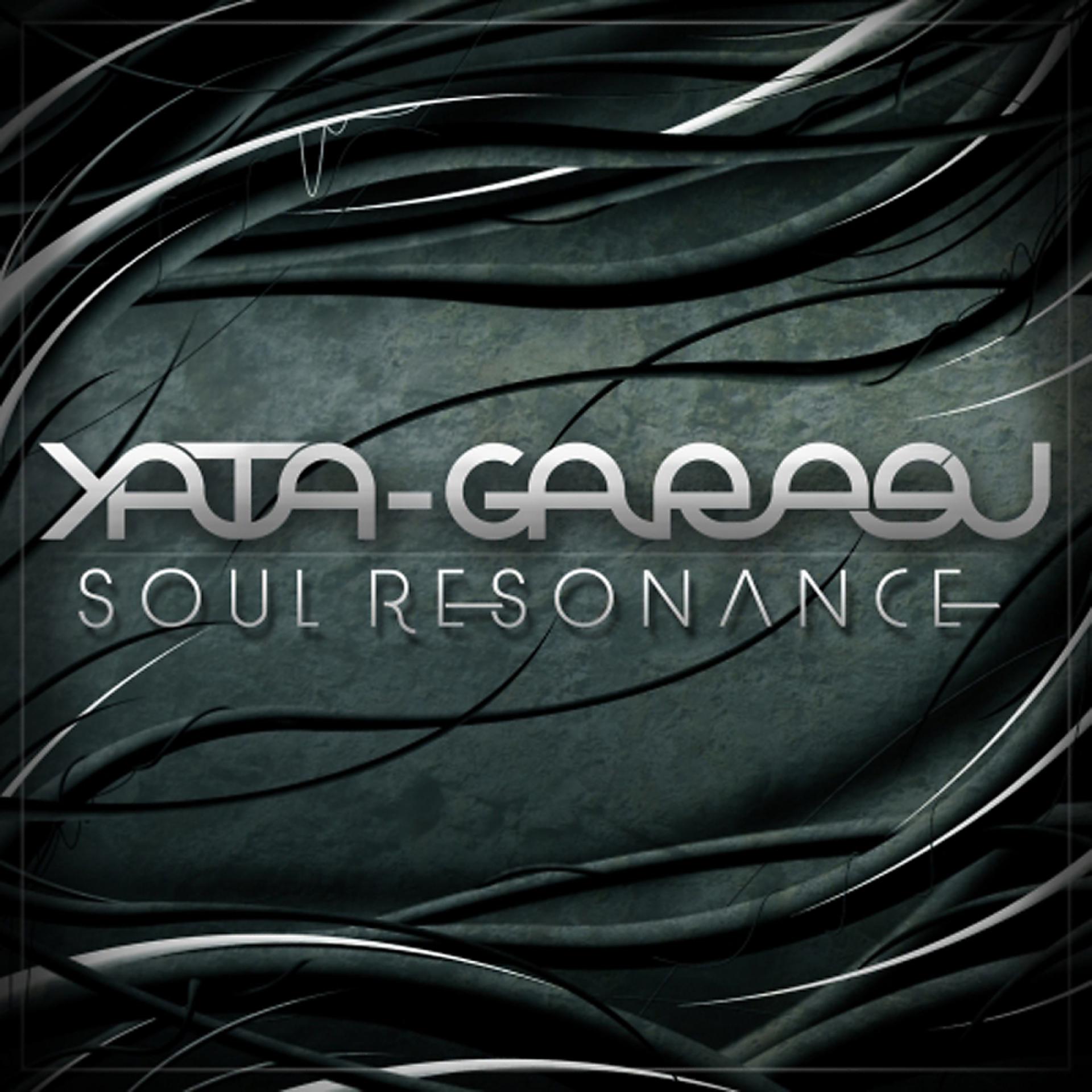 Постер альбома Soul Resonance