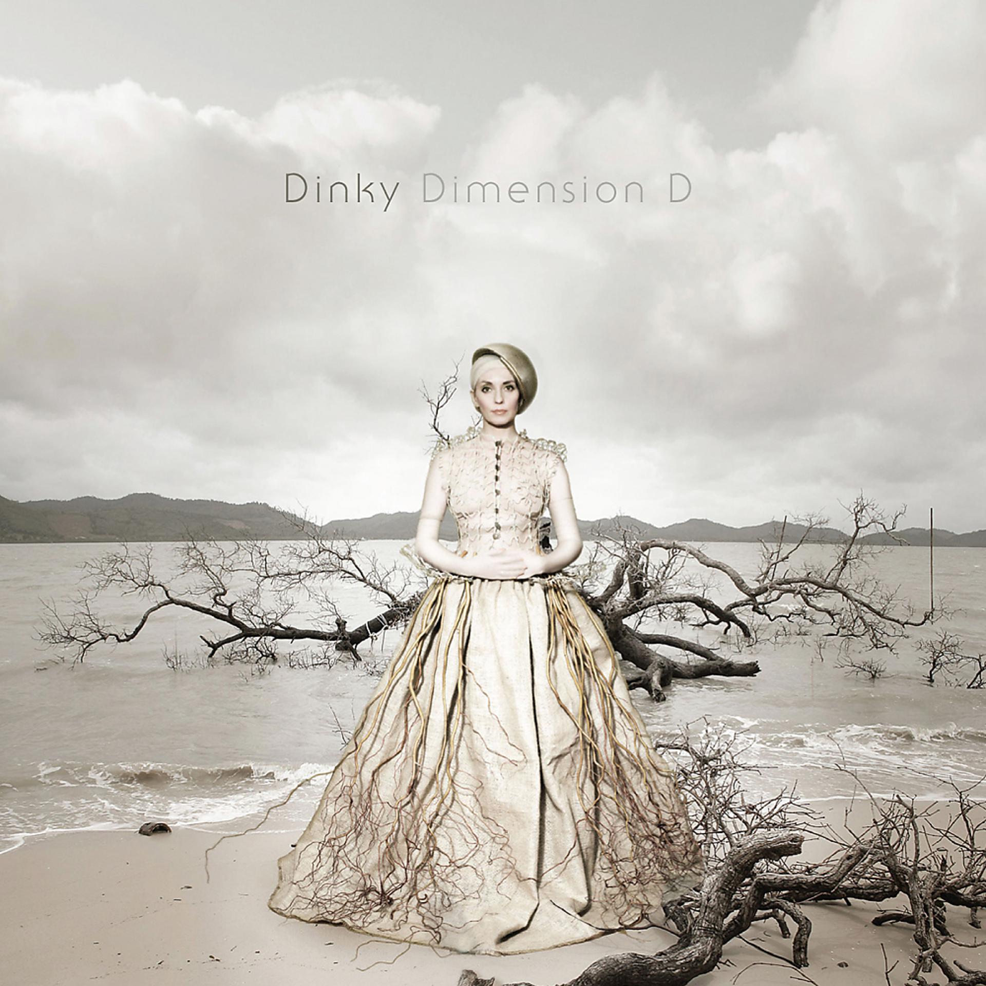 Постер альбома Dimension D