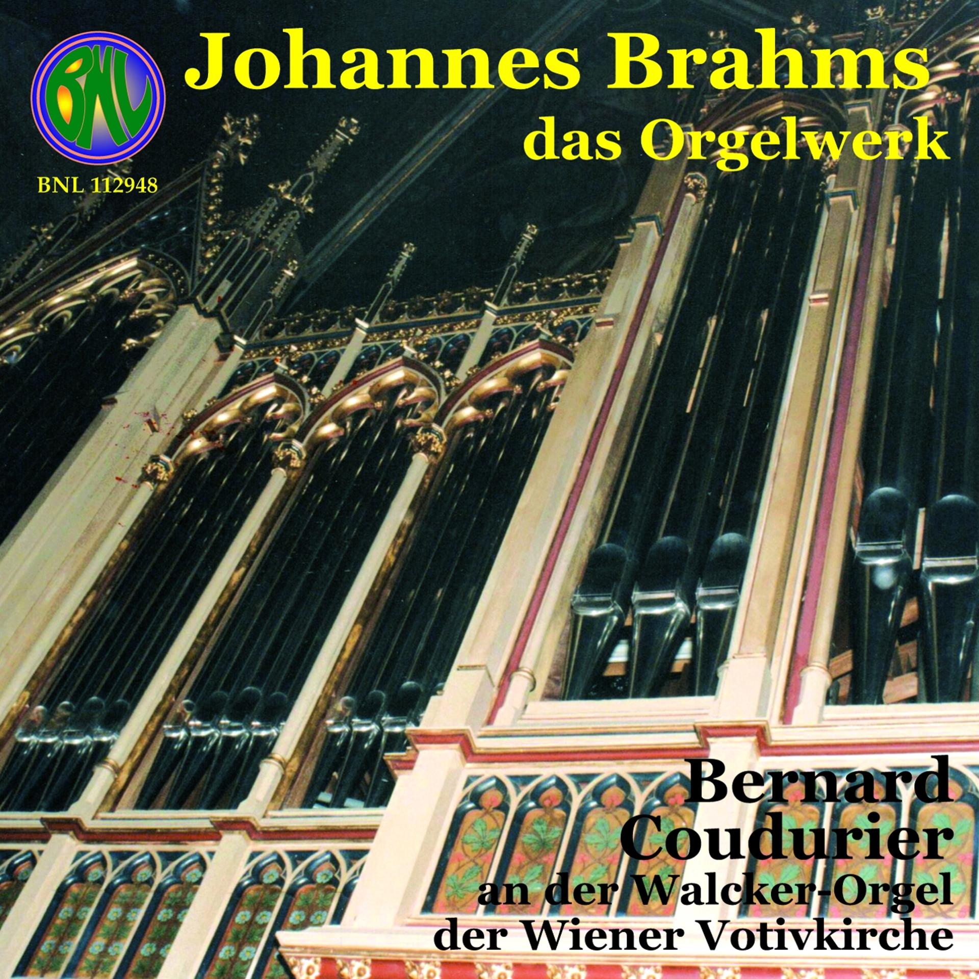 Постер альбома Brahms: Das Orgelwerk