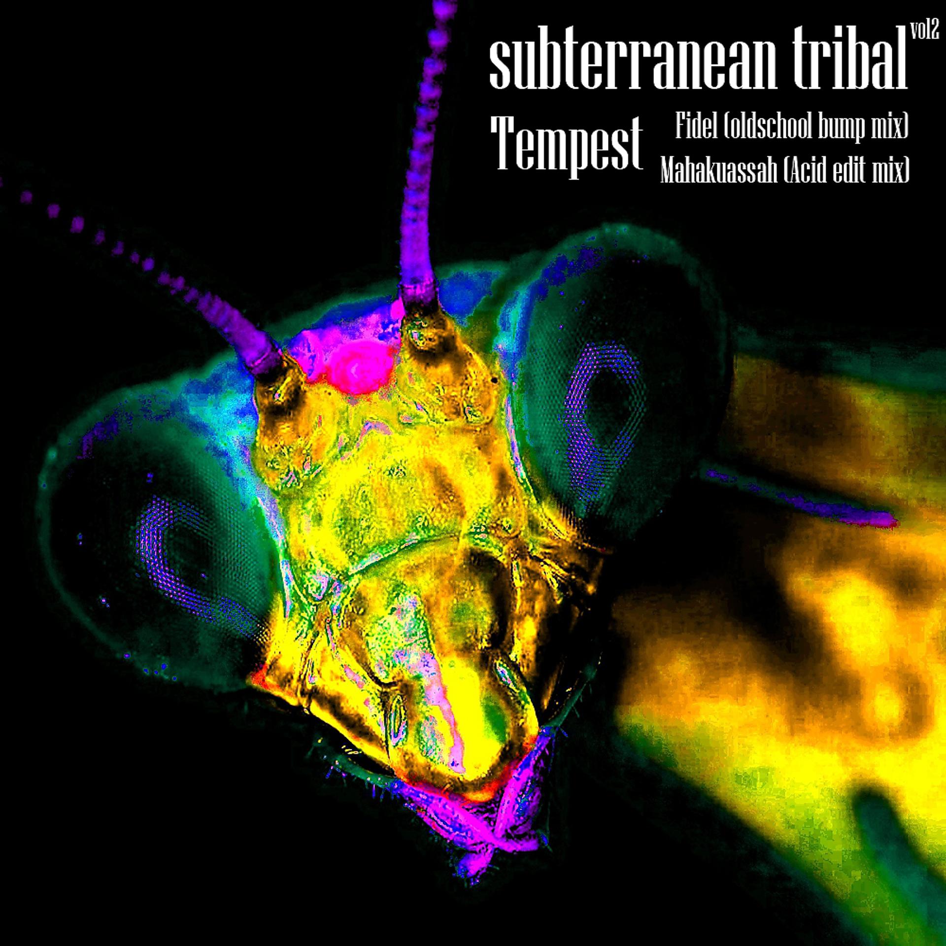 Постер альбома Subterranean Tribal Vol.2