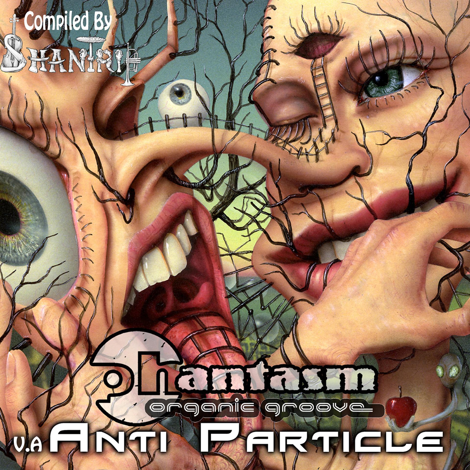 Постер альбома Anti Particle