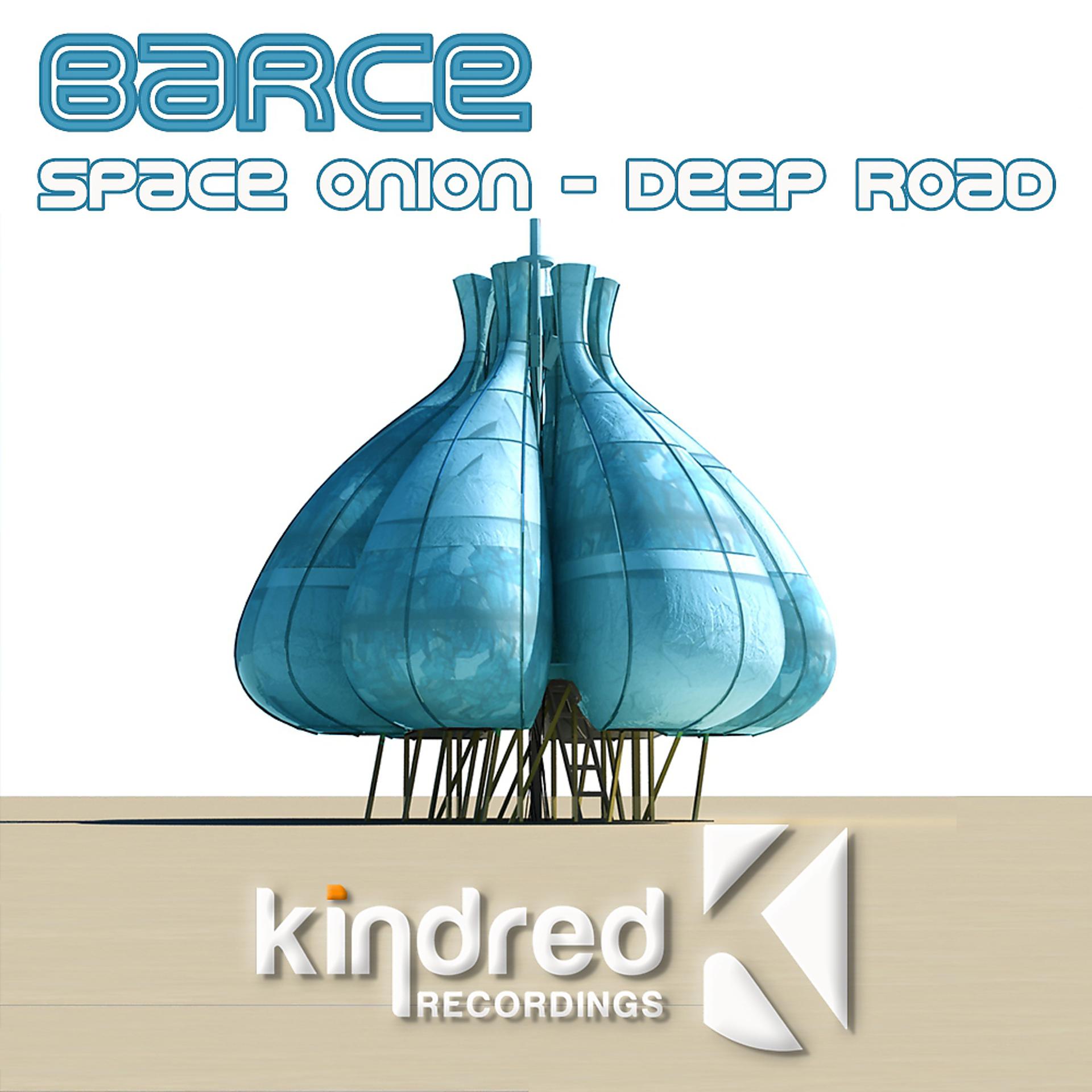 Постер альбома Space Onion / Deep Road
