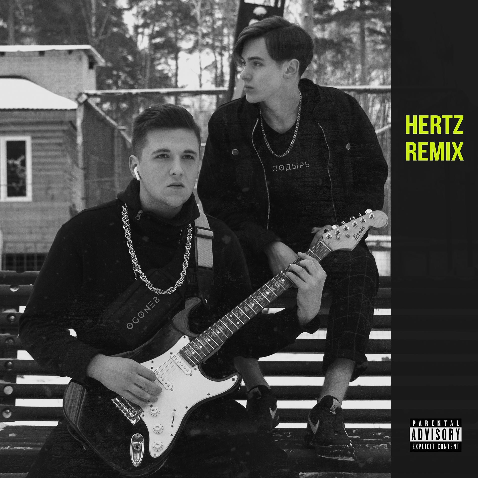 Постер альбома Заебала (Hertz Remix)