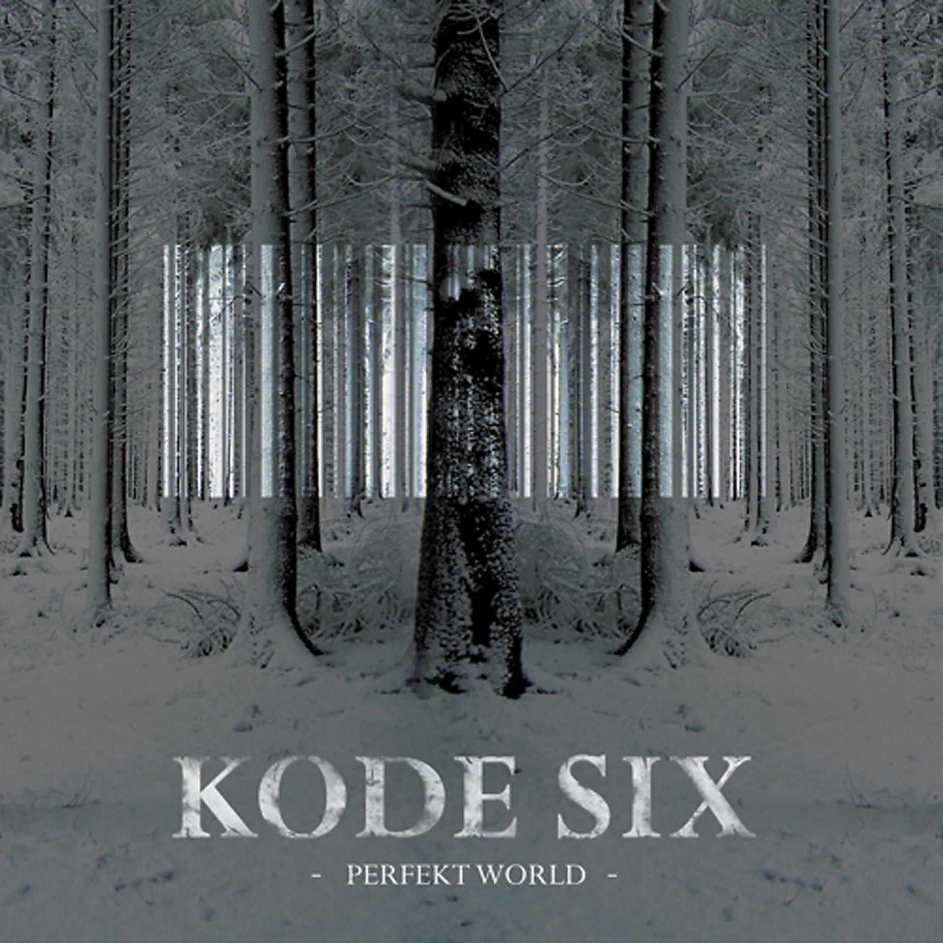 Постер альбома Perfekt World