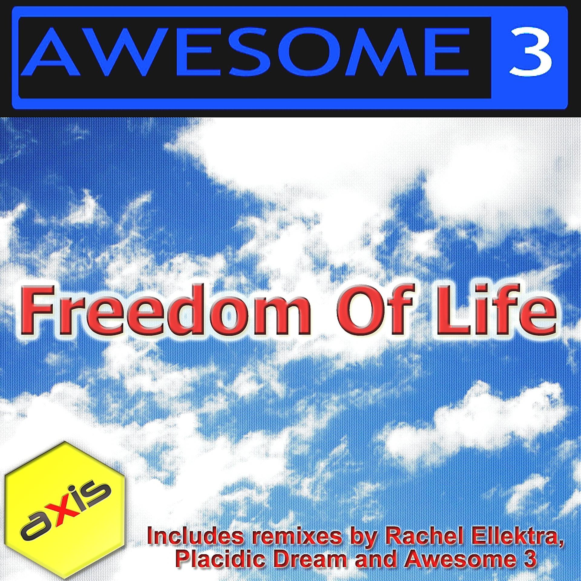 Постер альбома Freedom Of Life (The 2011 Remixes)