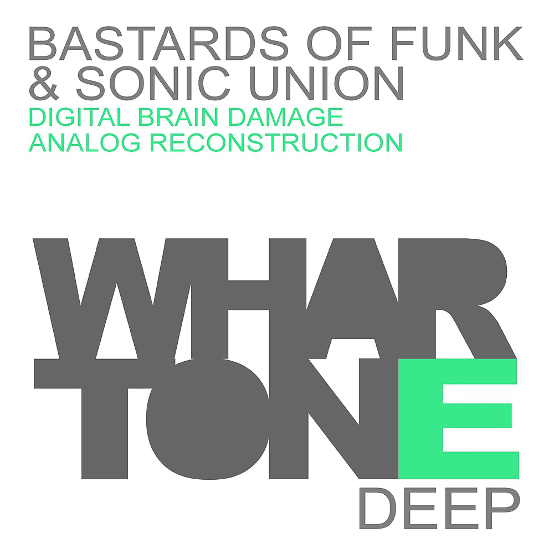 Постер альбома Digital Brain Damage EP