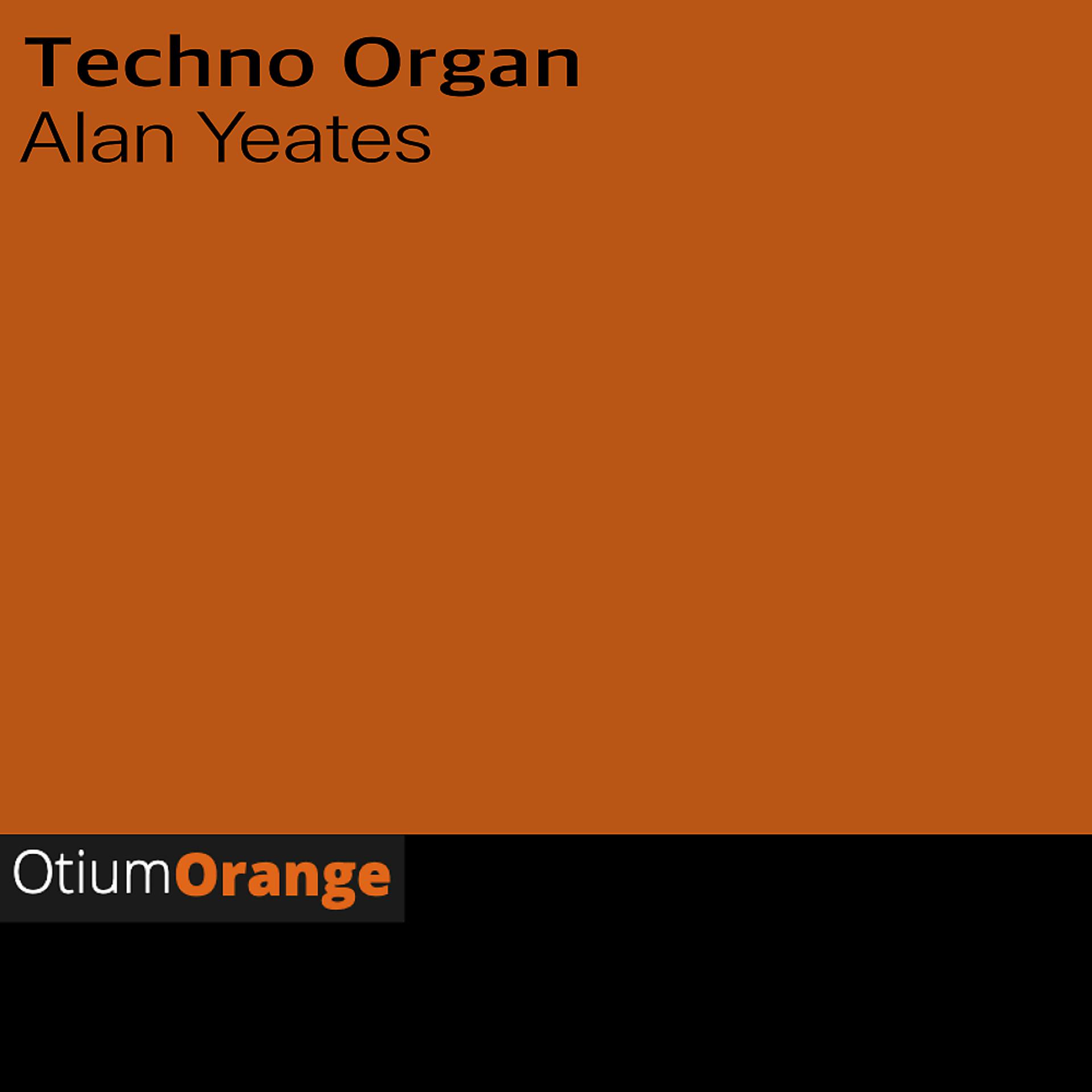Постер альбома Techno Organ