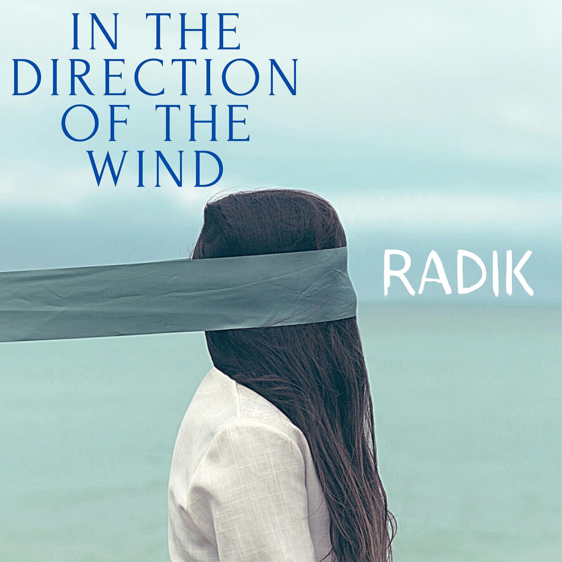 Постер альбома In the Direction of the Wind