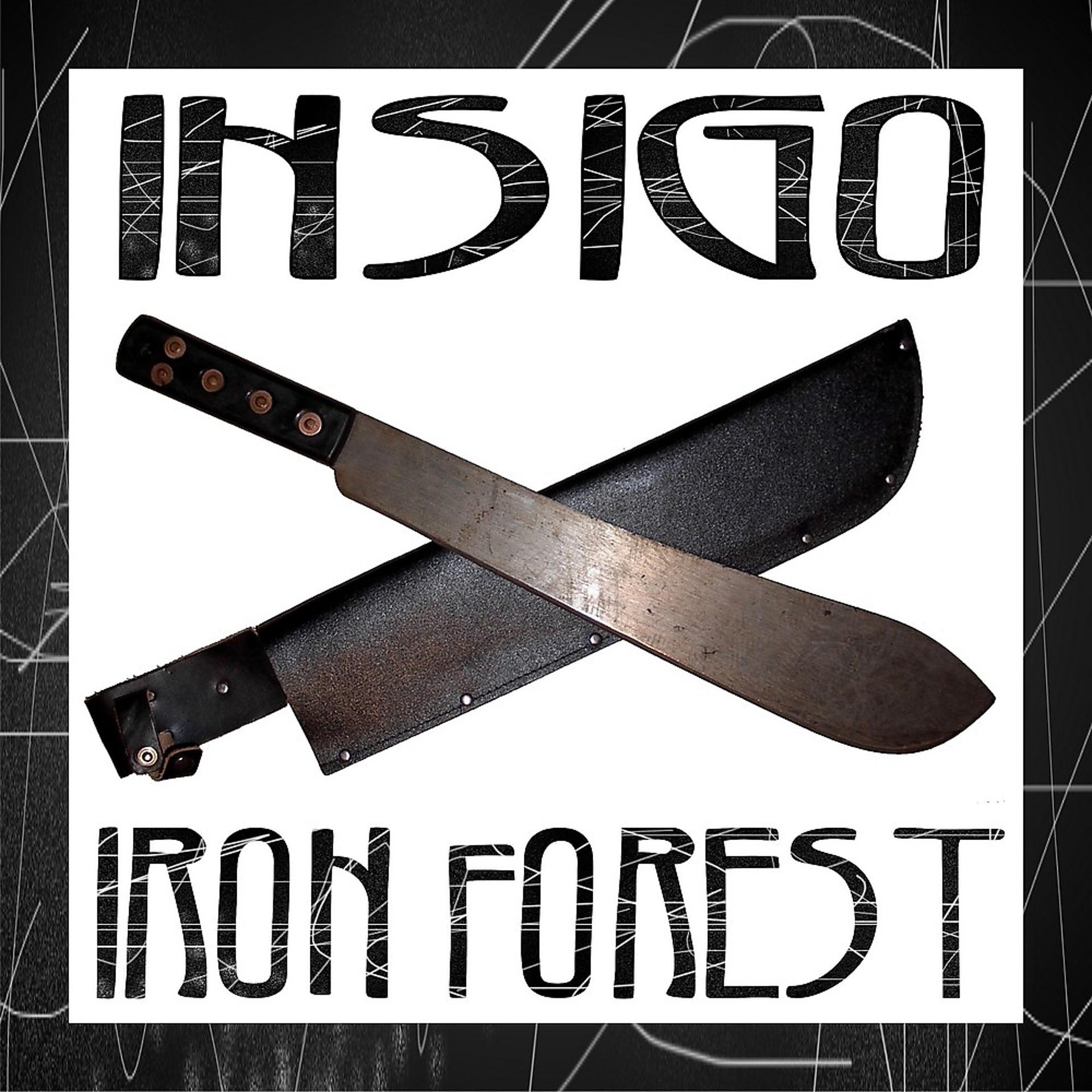 Постер альбома Iron Forest