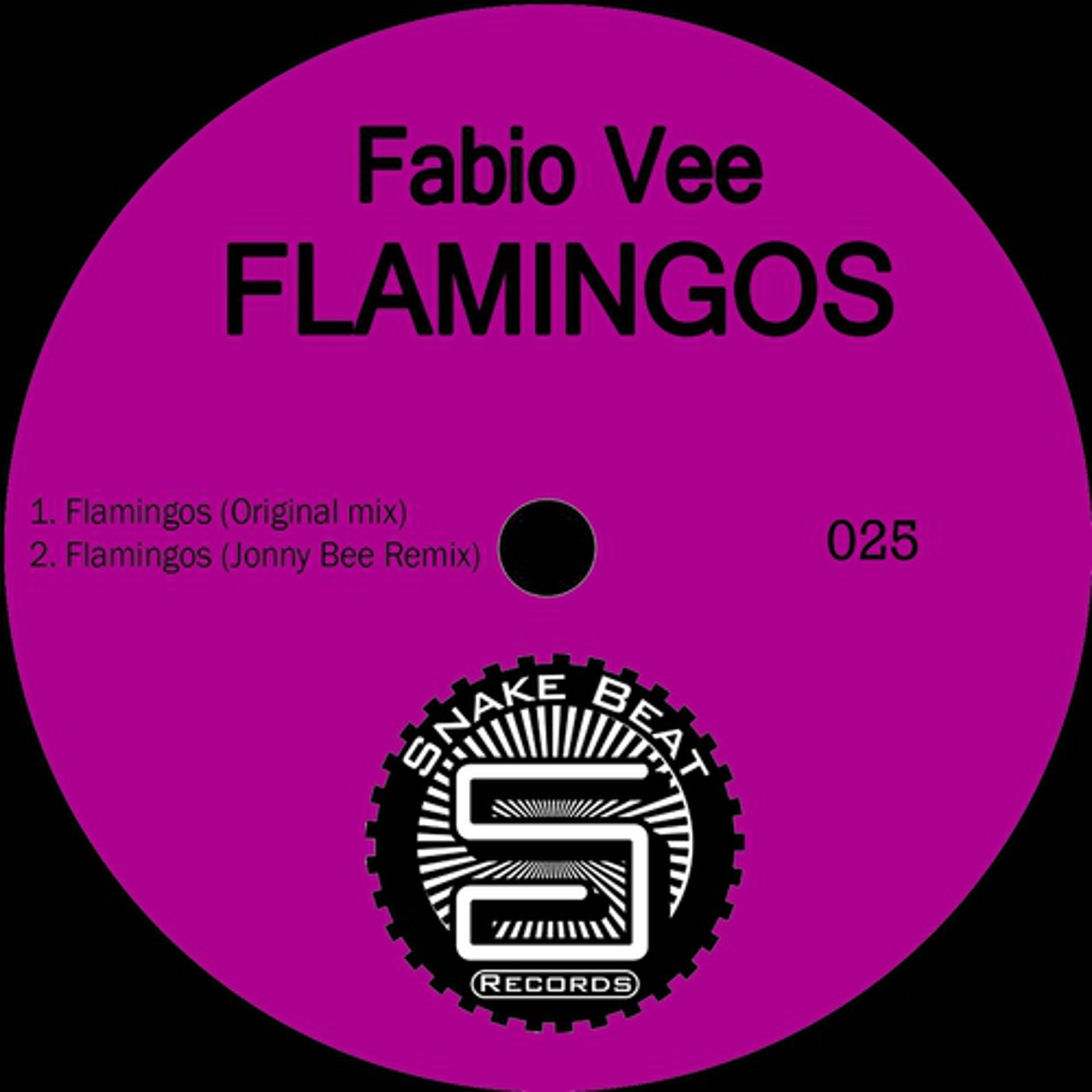 Постер альбома Flamingos