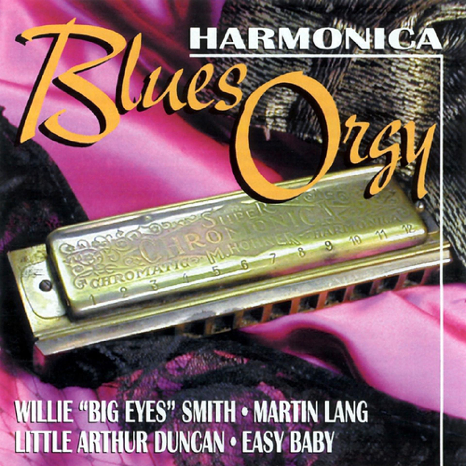 Постер альбома Harmonica Blues Orgy