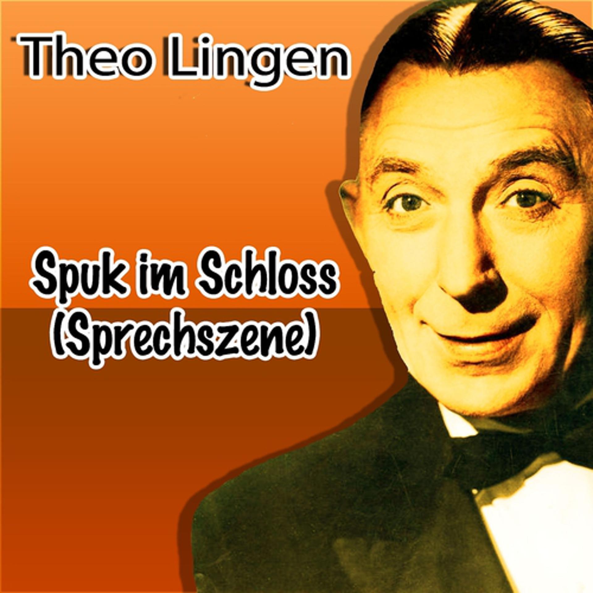 Постер альбома Spuk im Schloss (Sprechszene)