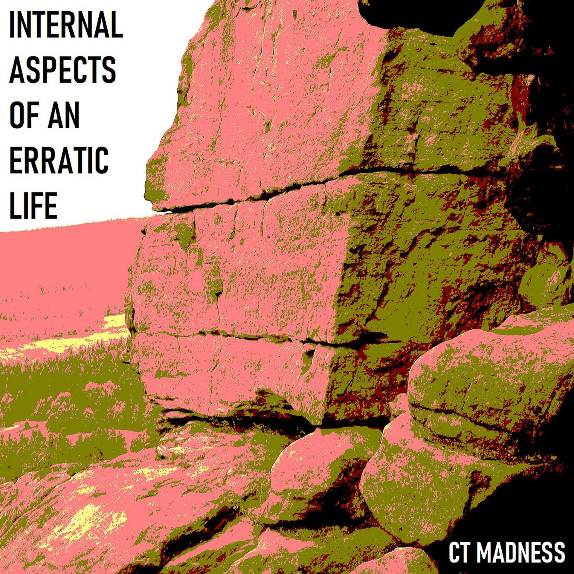 Постер альбома Internal Aspects of an Erratic Life