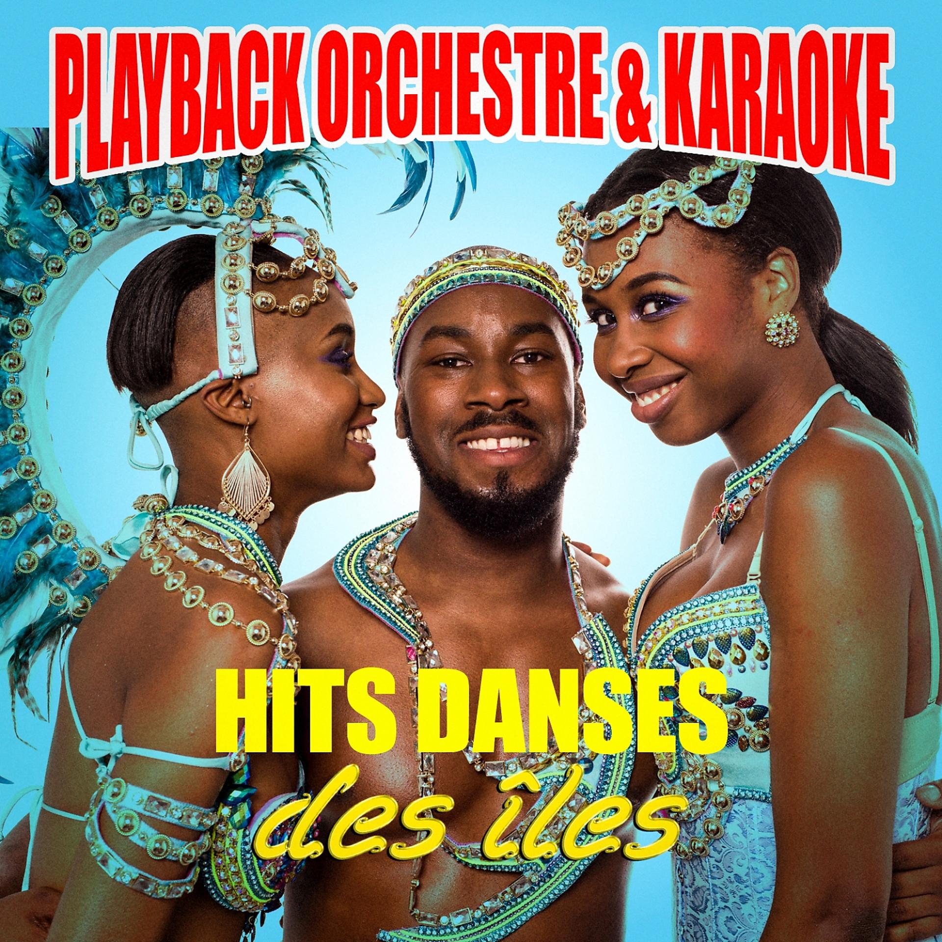 Постер альбома Hits danses des îles