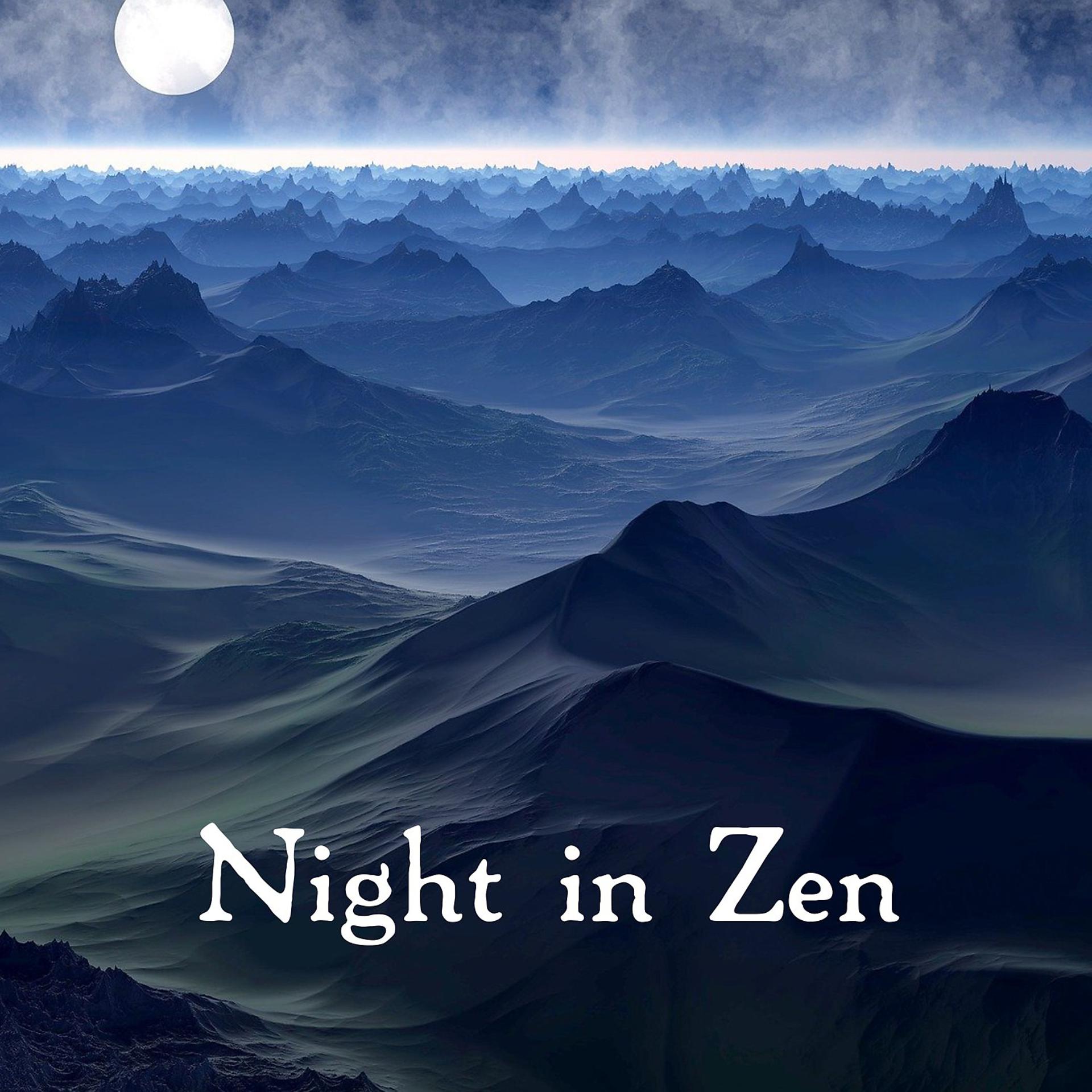 Постер альбома Night in Zen