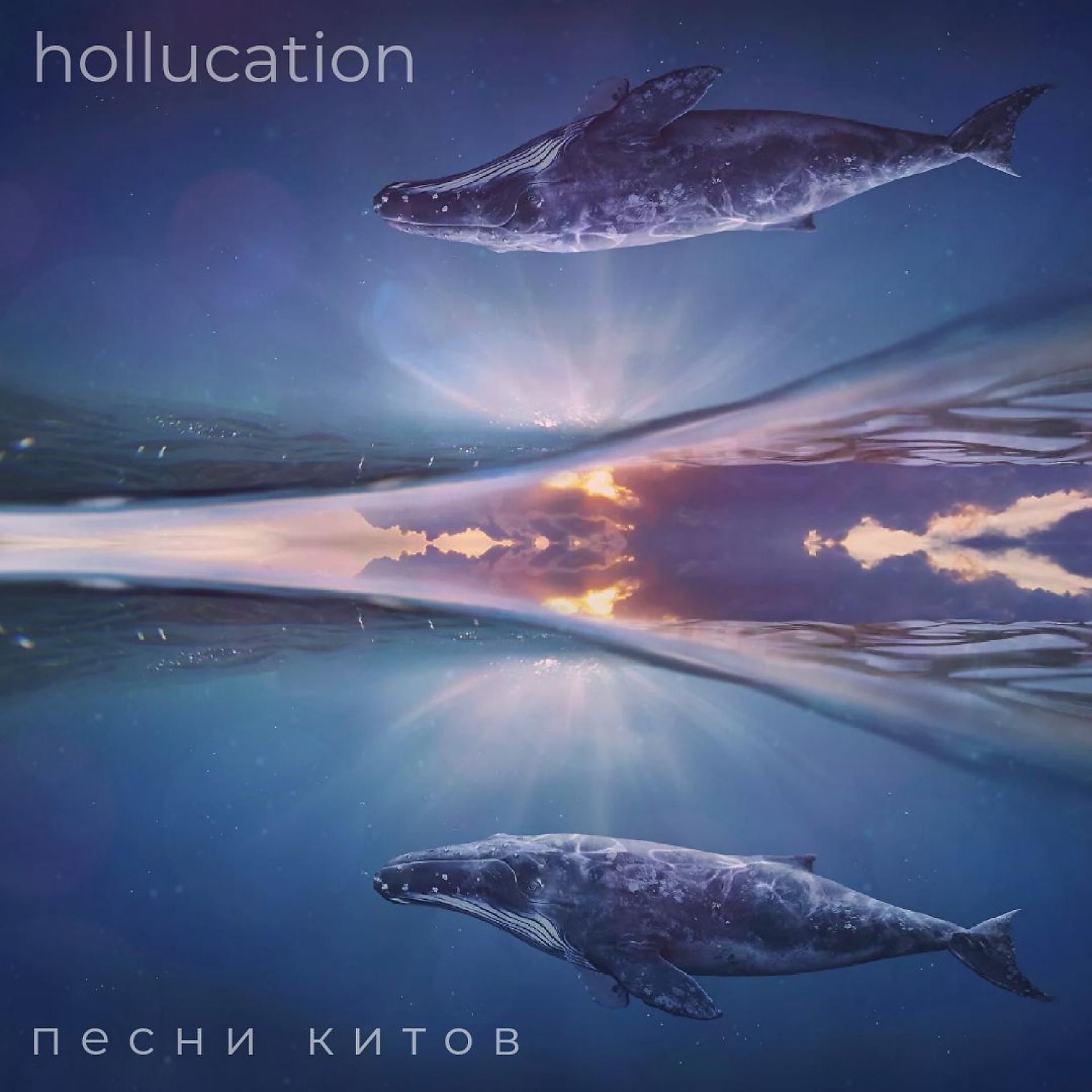 Постер альбома Песни Китов