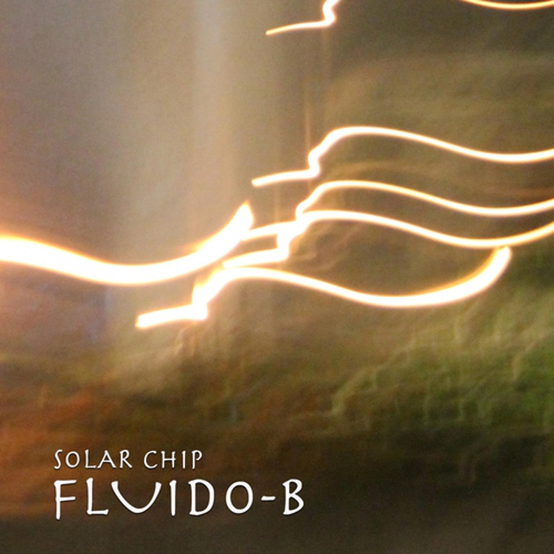 Постер альбома Solar Chip