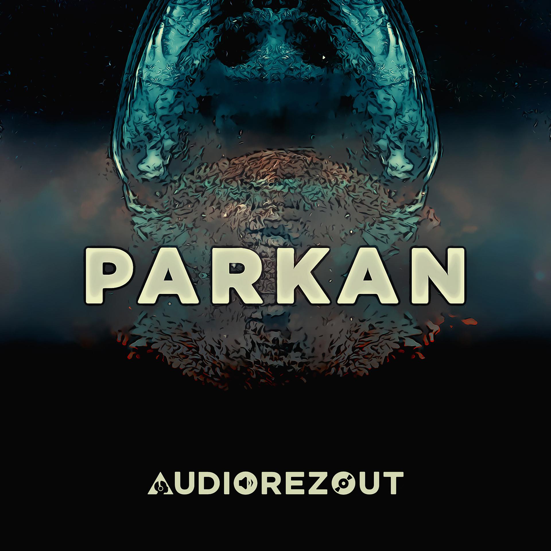 Постер альбома Parkan
