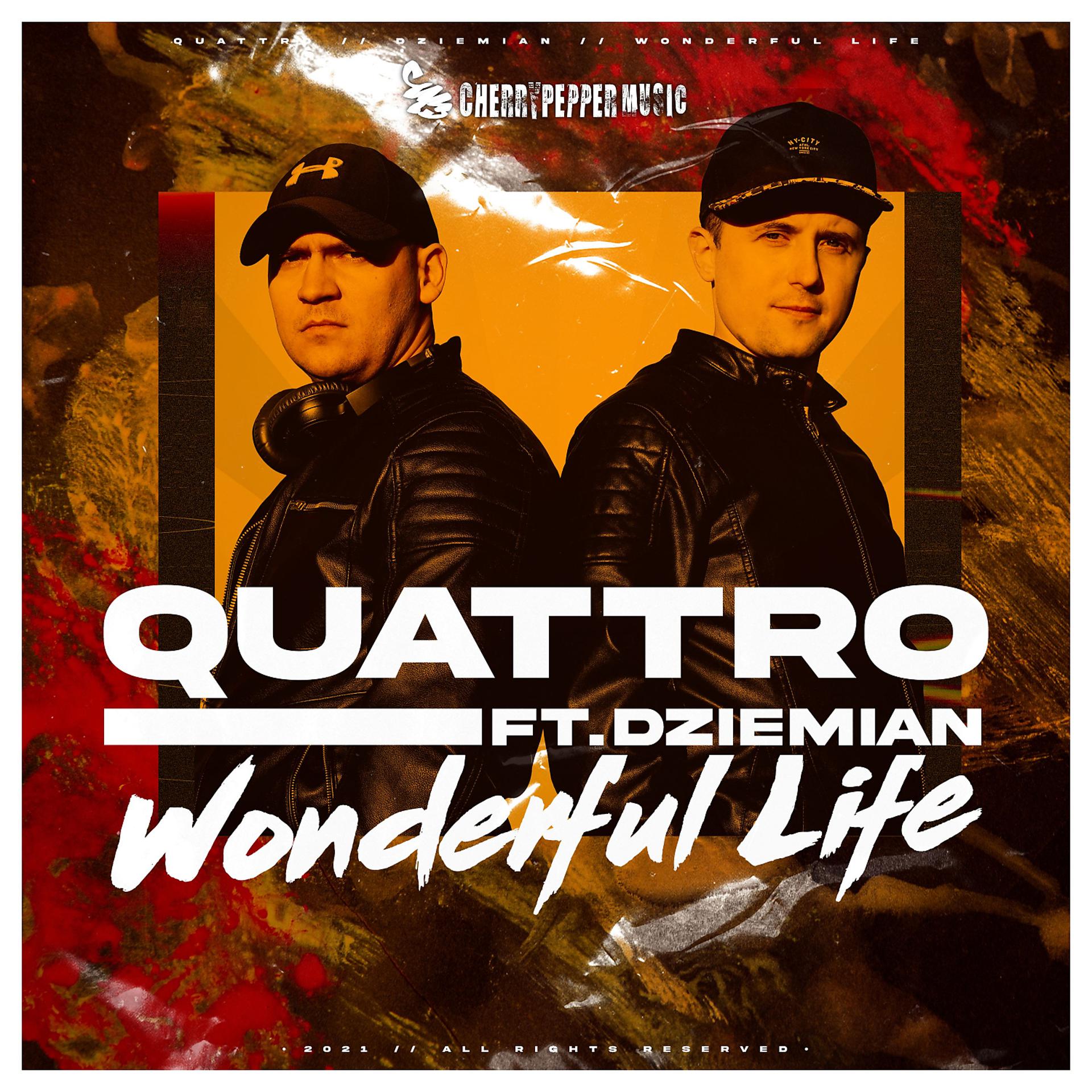 Постер альбома Wonderful Life (feat. Dziemian)