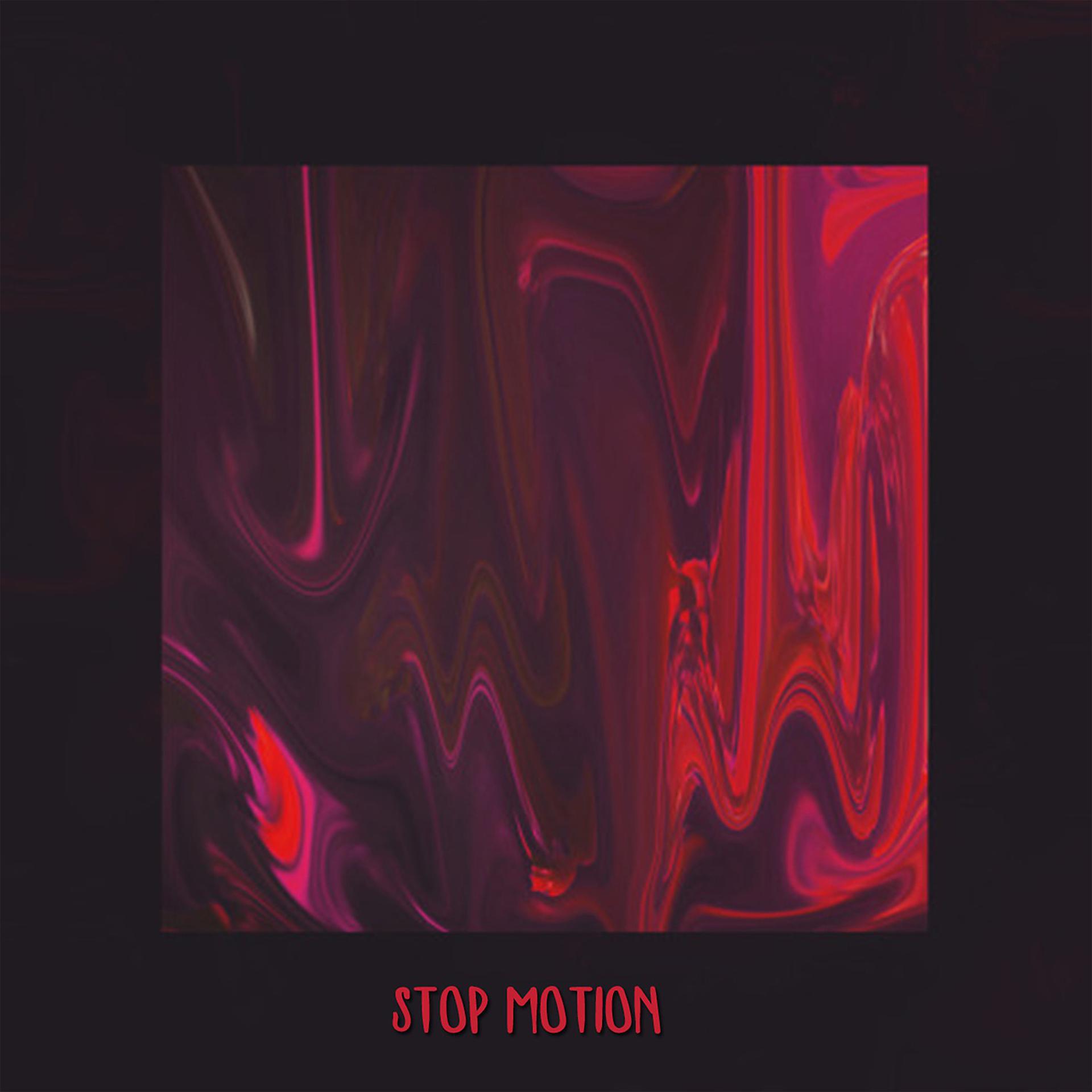 Постер альбома Stop Motion