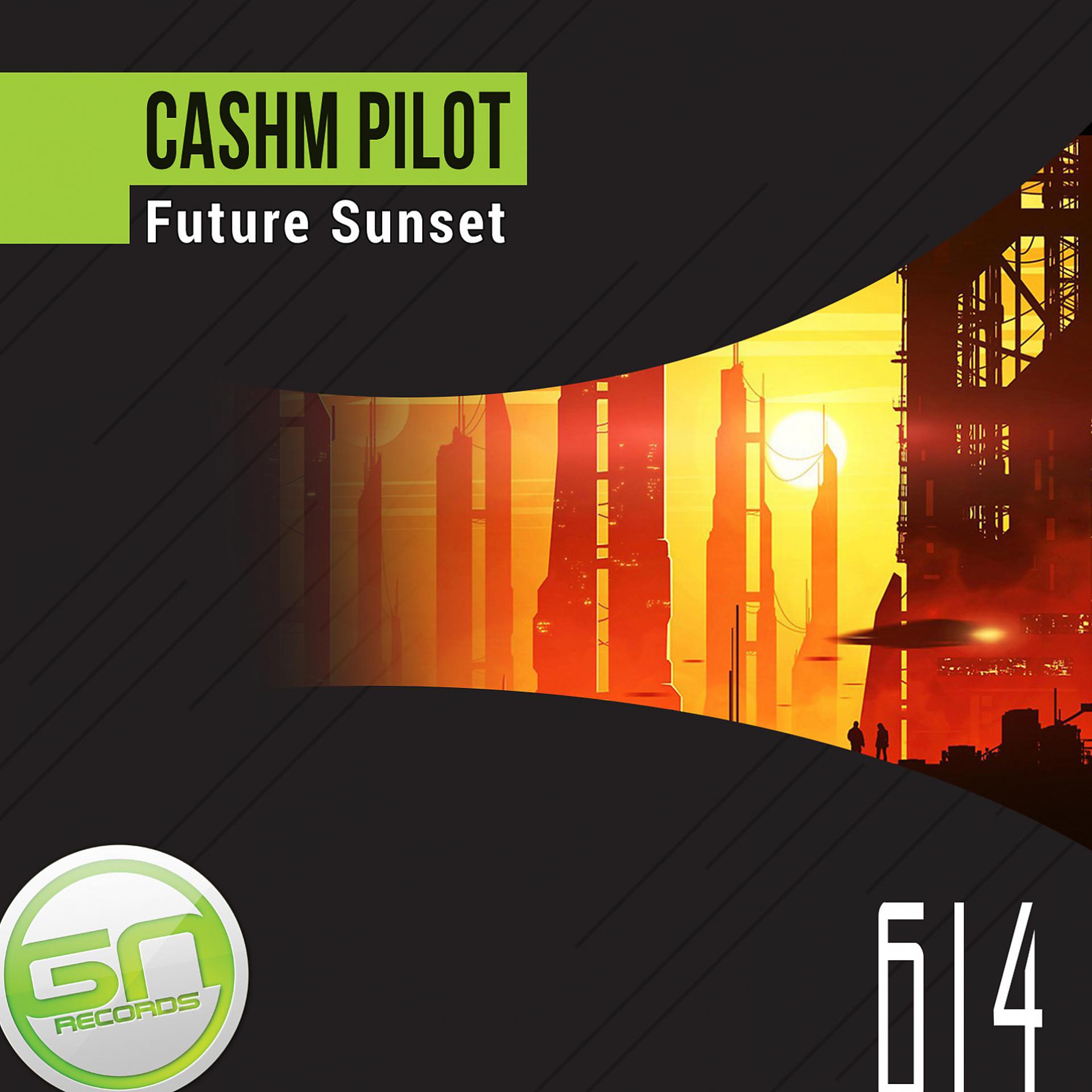 Постер альбома Future Sunset