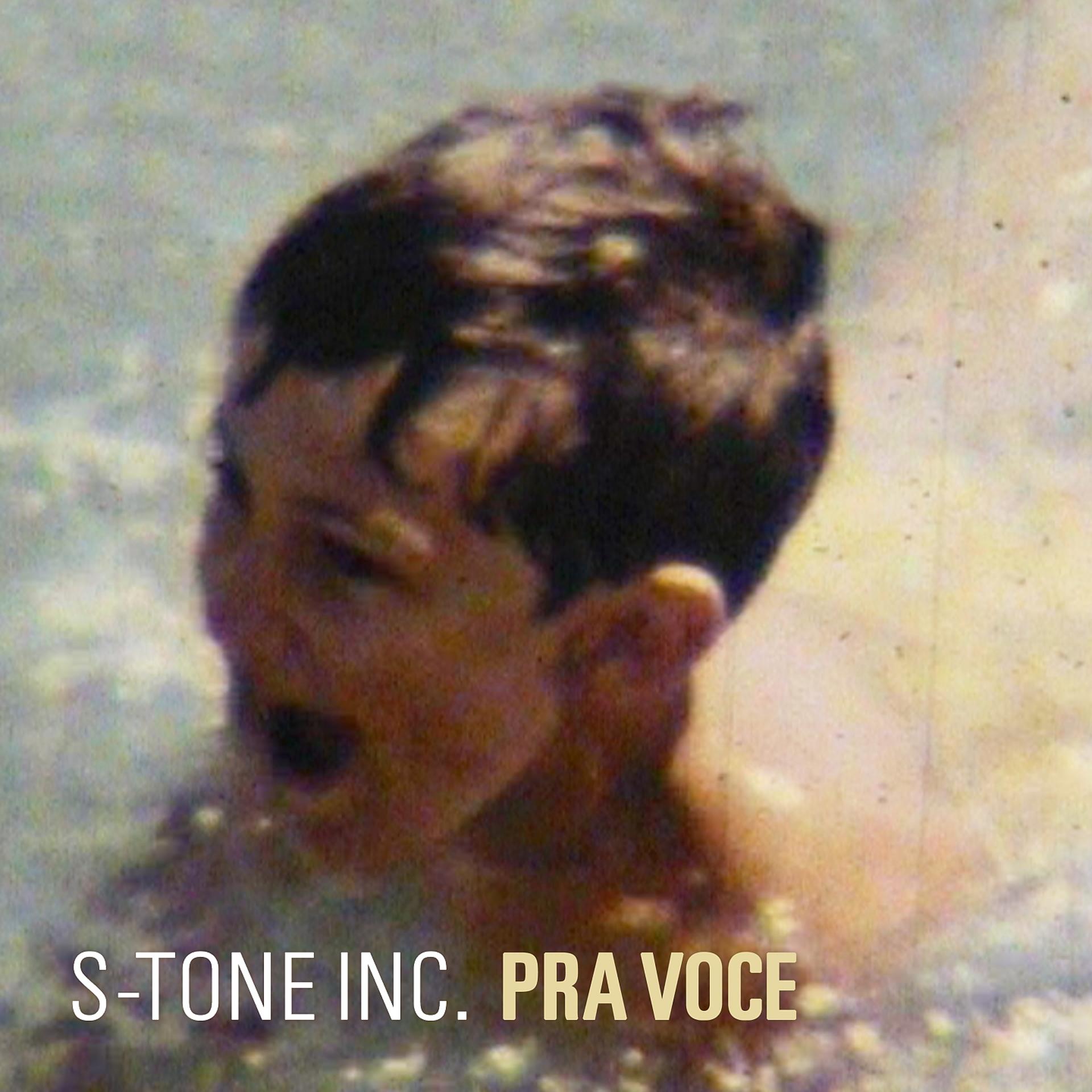Постер альбома Pra Voce