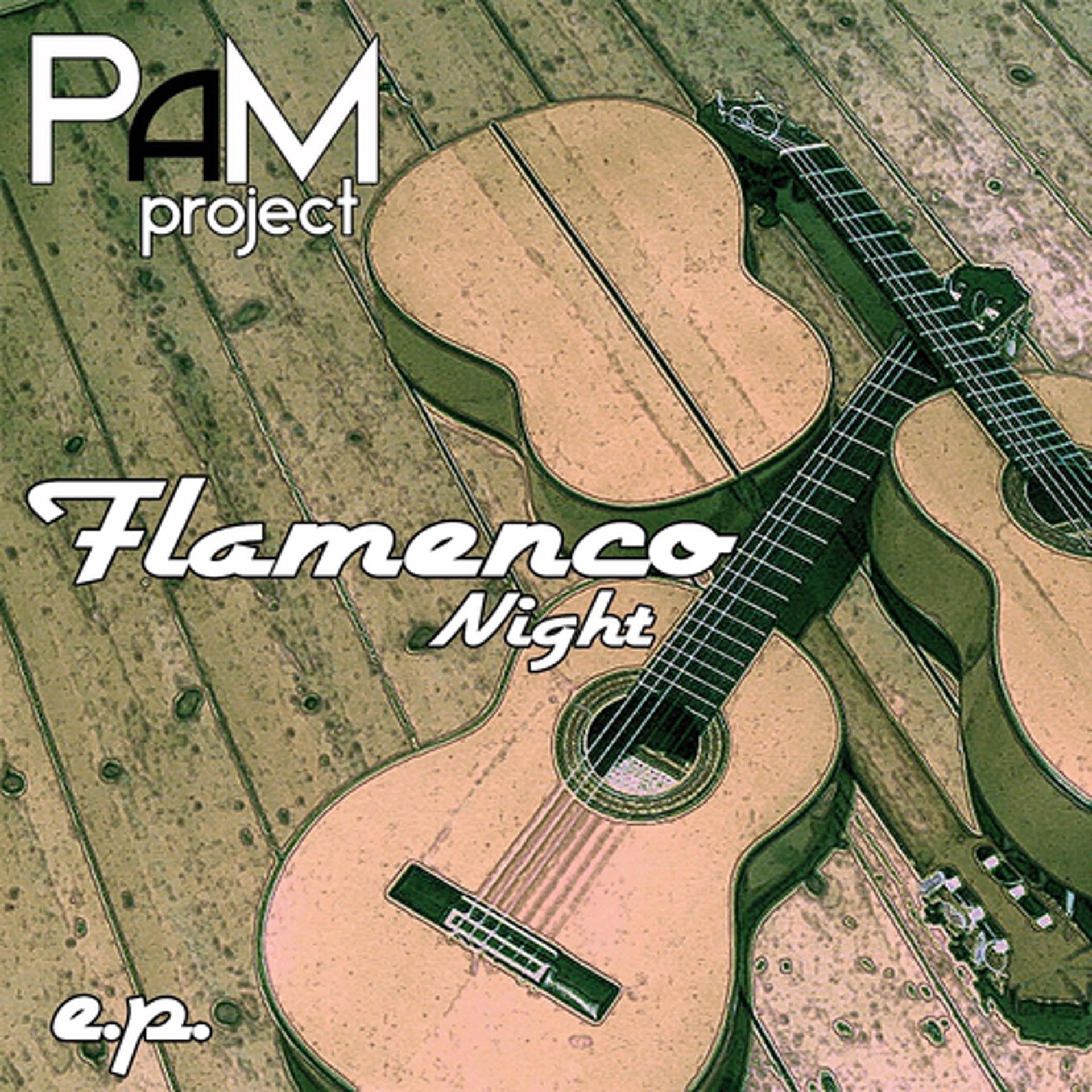 Постер альбома Flamenco Night