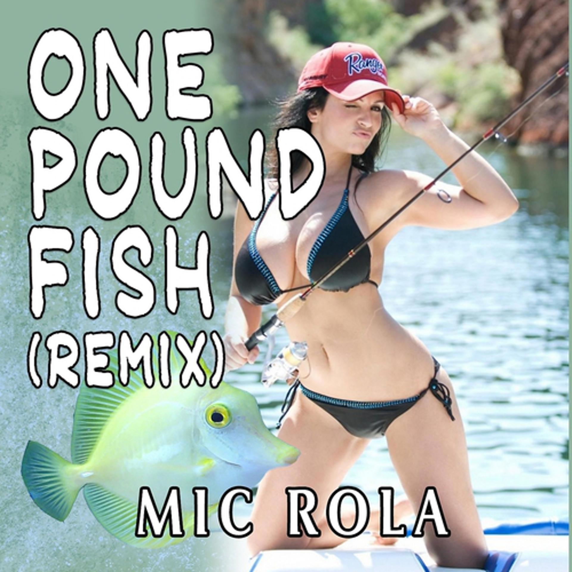 Постер альбома One Pound Fish
