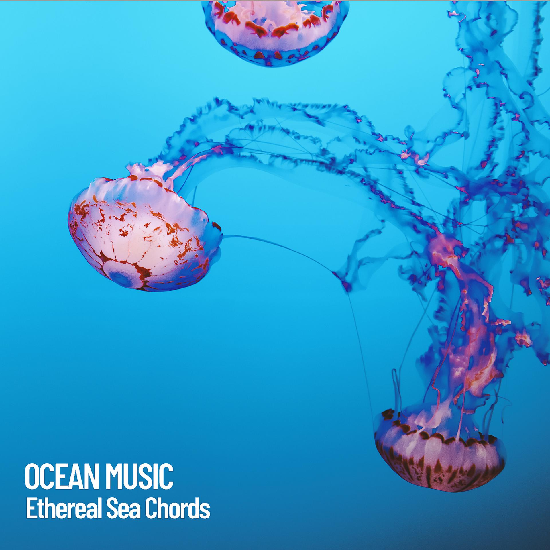 Постер альбома Ocean Music: Ethereal Sea Chords