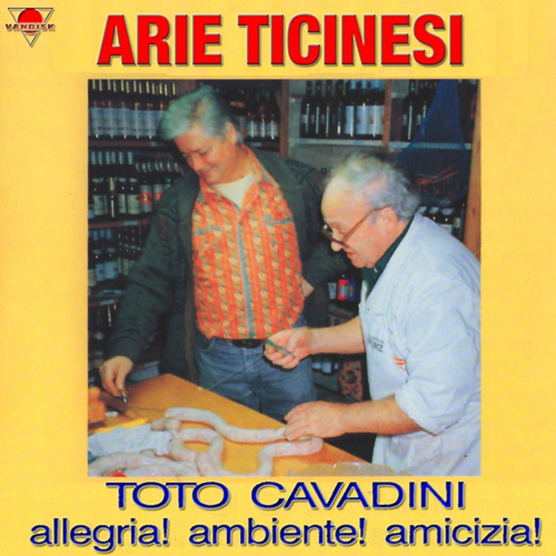 Постер альбома Arie ticinesi