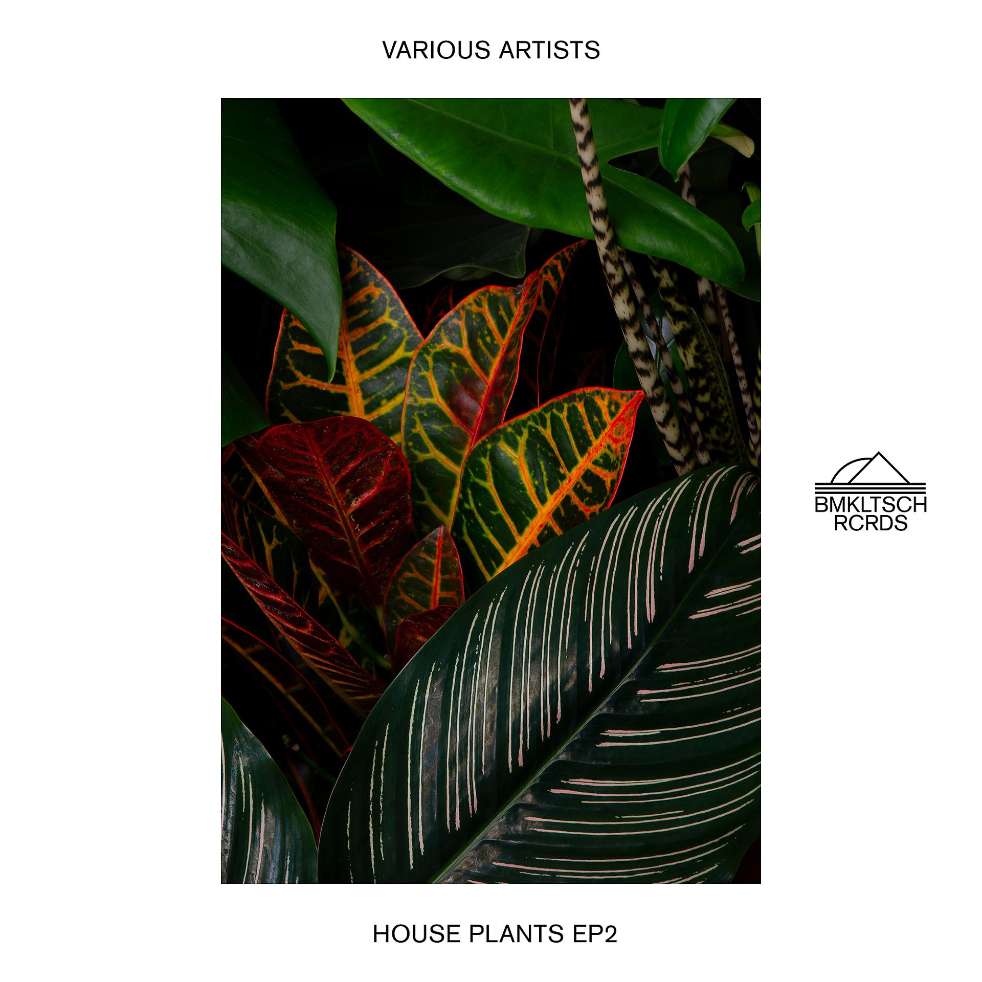 Постер альбома House Plants EP 2