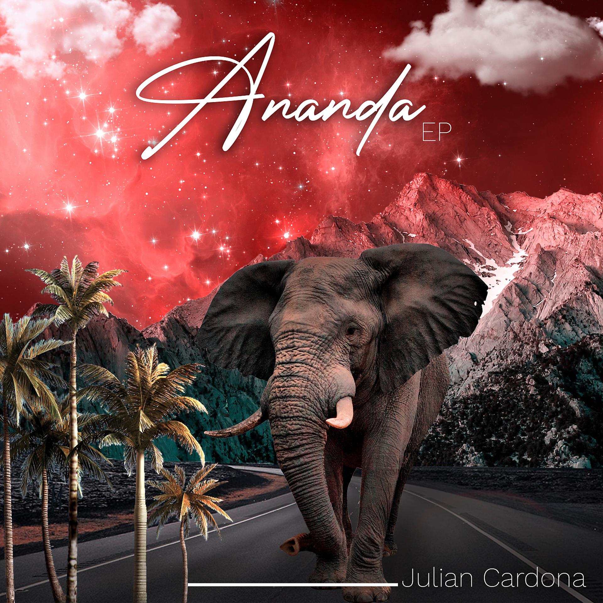 Постер альбома Ananda