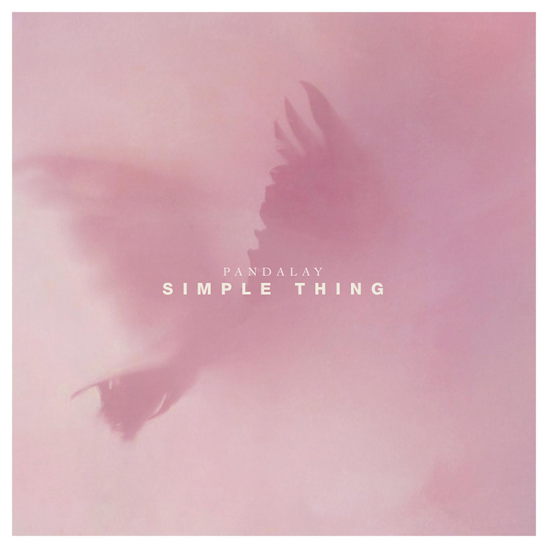 Постер альбома Simple Thing