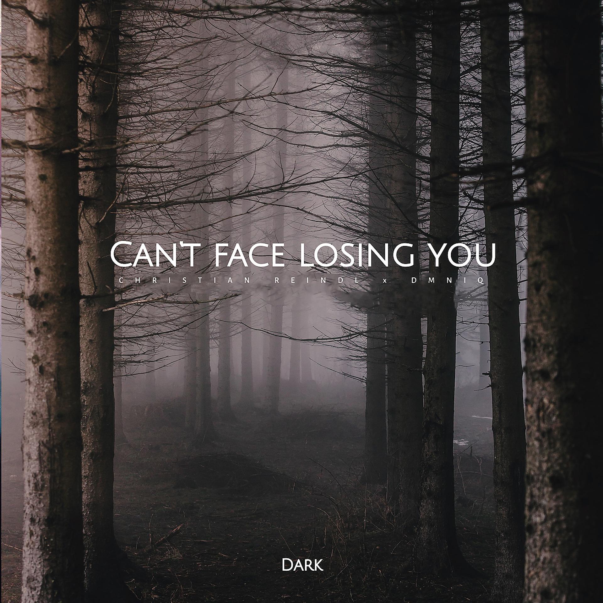 Постер альбома Can't Face Losing You (Dark)