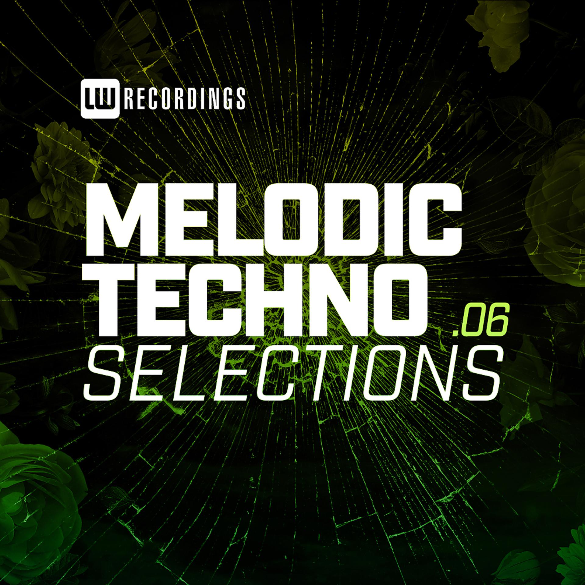 Постер альбома Melodic Techno Selections, Vol. 06